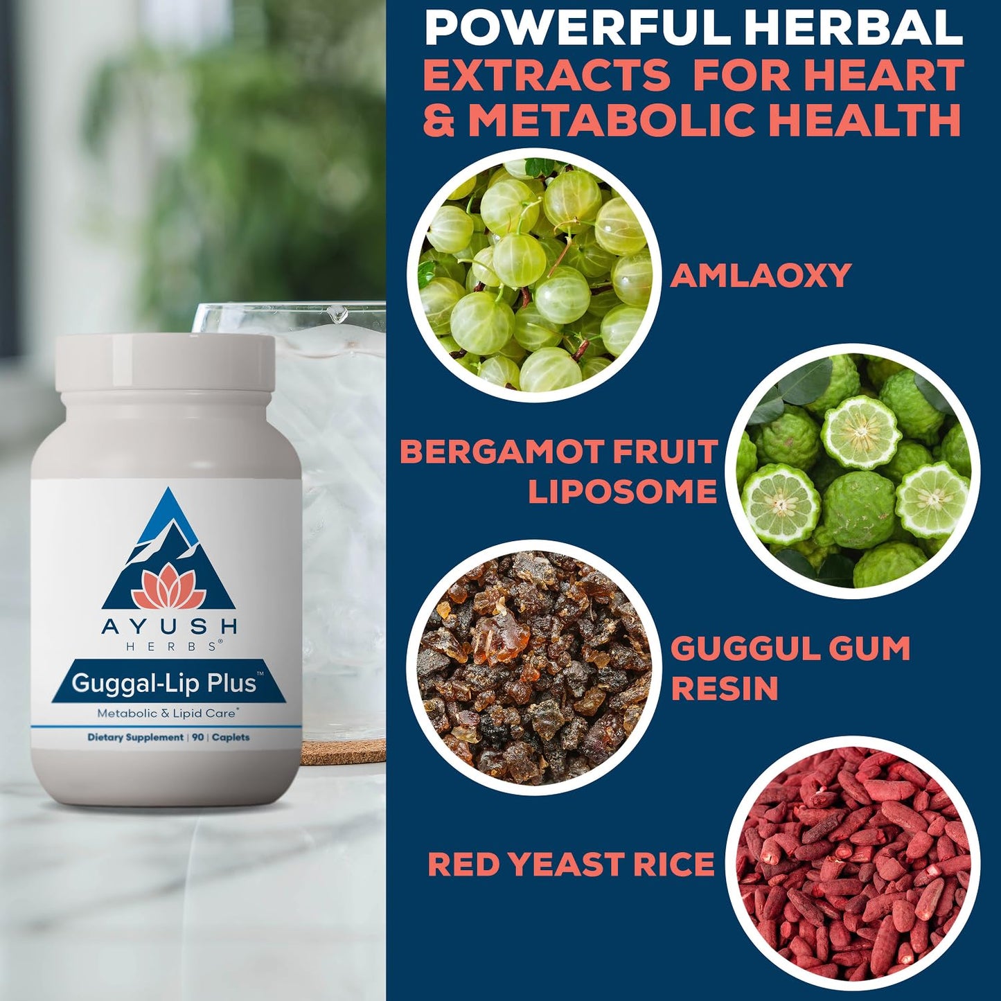 Ayush Herbs Guggal-Lip Plus 90 Tablets