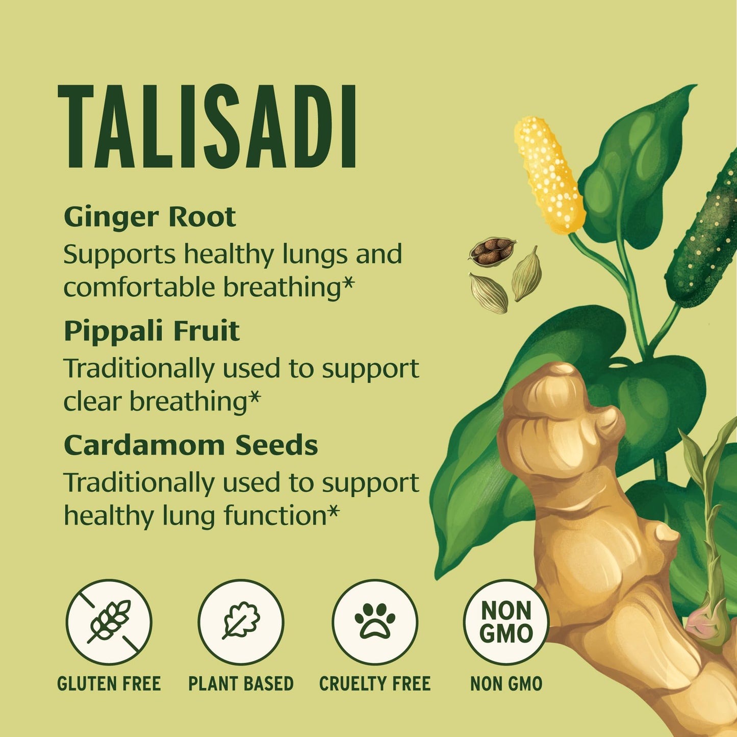 Banyan Botanicals Talisadi Powder 8 oz