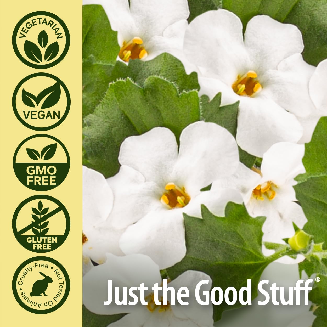 Nature's Answer Bacopa Monnieri 500mg Capsule, 90 Capsules
