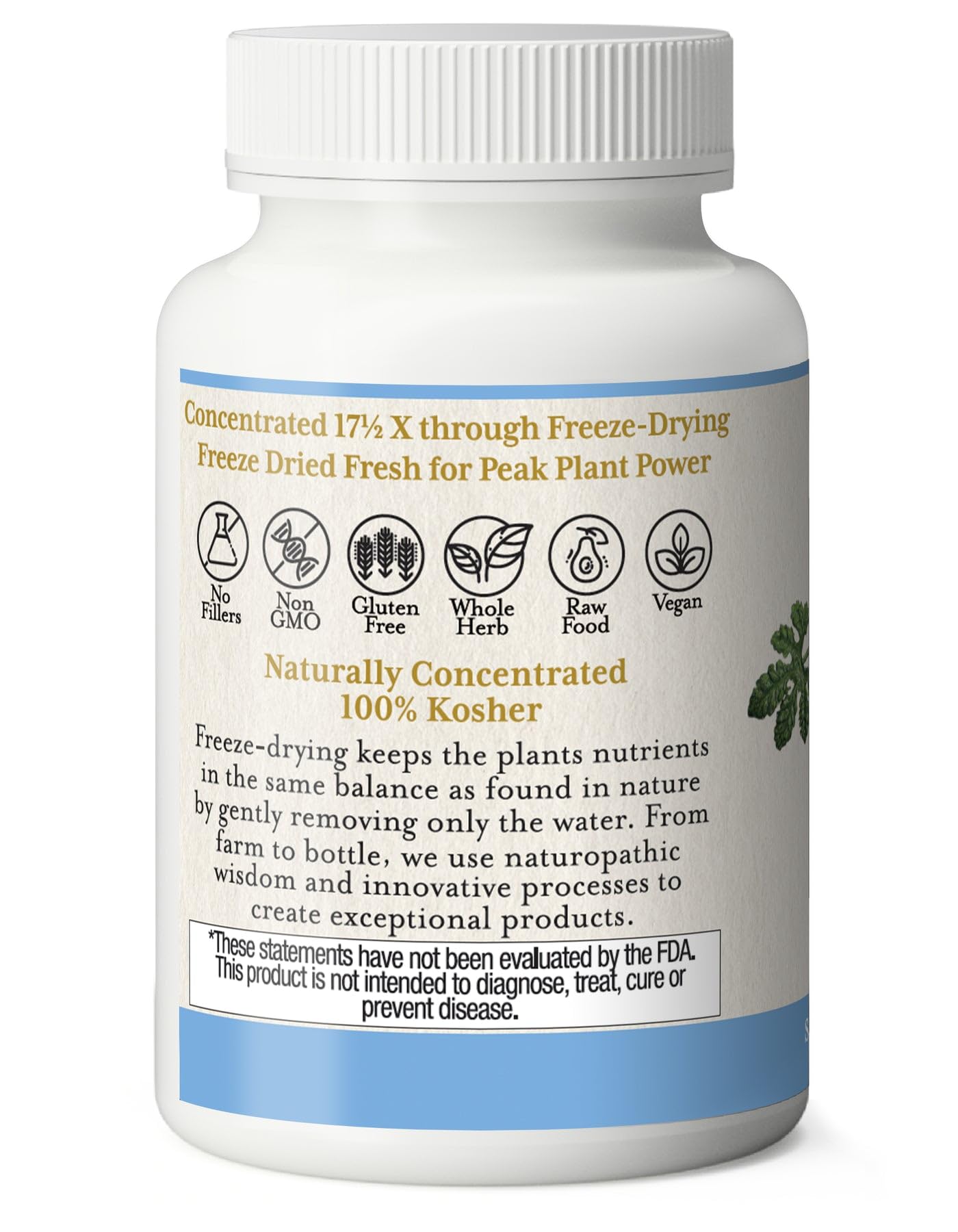Eclectic Institute Bitter Melon Capsules 90 Count
