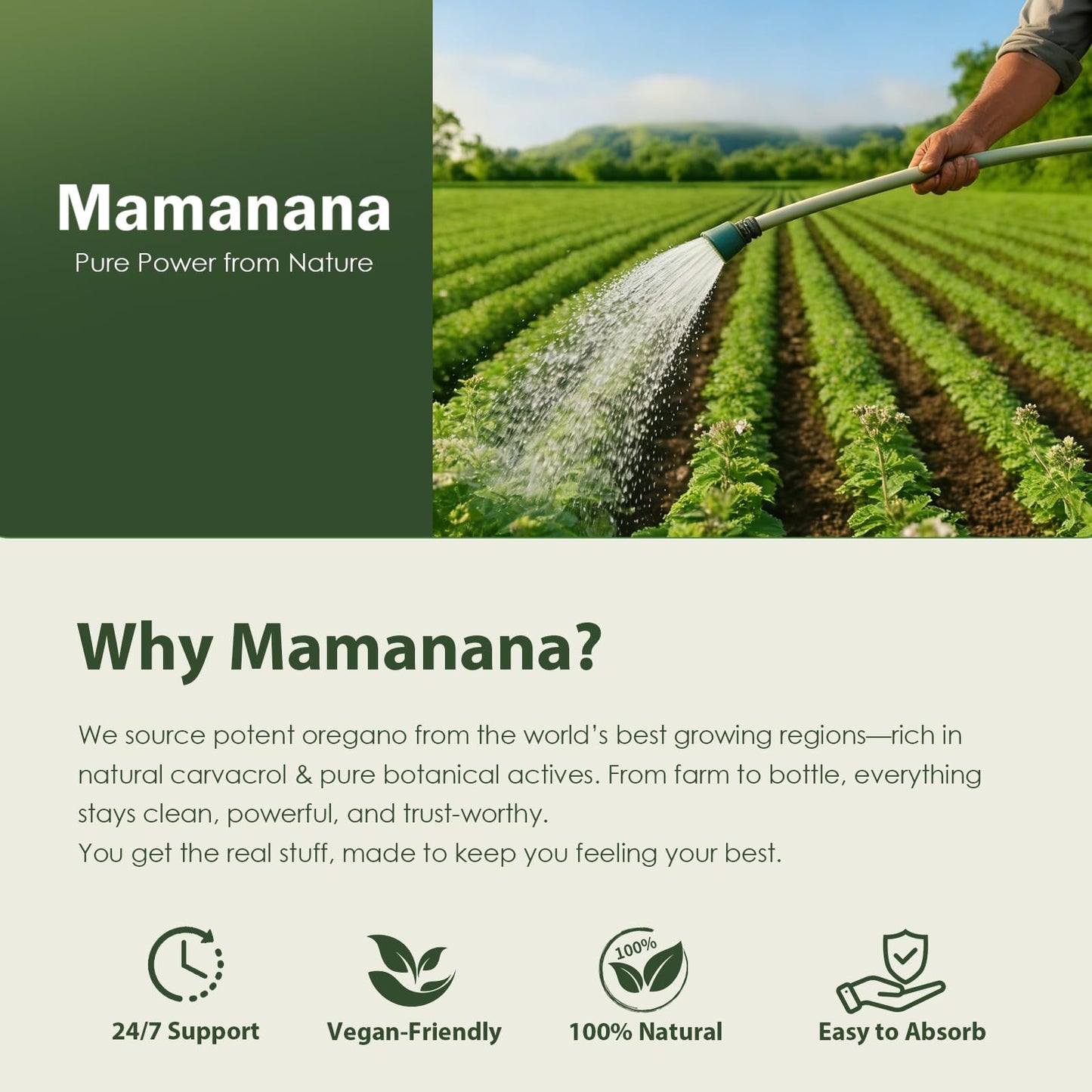 mamanana Oil of Oregano Capsules Organic 6000mg, 6-in-1 Oil of Oregano with Black Seed Oil, Omega-3 (EPA & DHA), Vitamin D + E, Digestive Health & Seasonal Immune Support, Non-GMO, 120 Capsules
