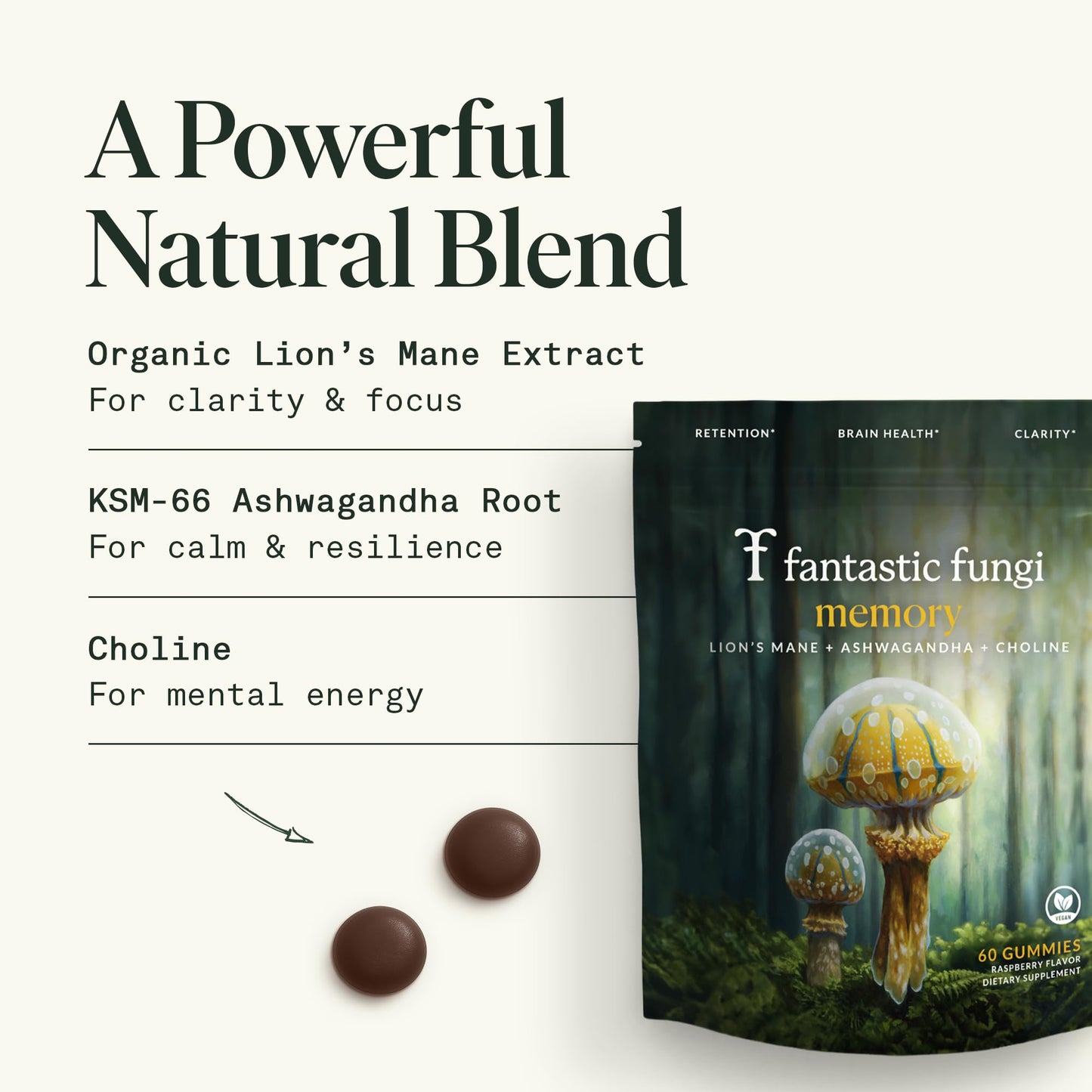 Fantastic Fungi Organic Mushroom Gummies for Focus & Memory, Lions Mane, Choline & Ashwagandha Gummies for Adults, 60 Gummies