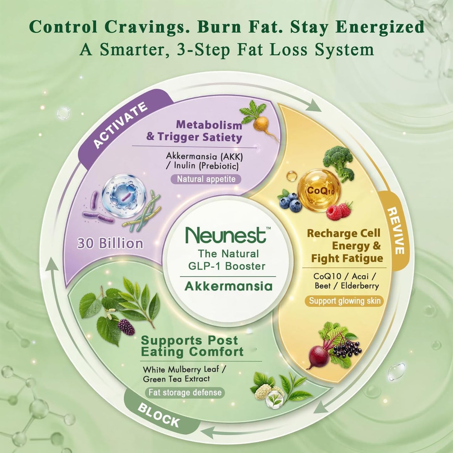 NEUNEST GLP Booster Probiotic Supplement Mix Drink for Weight Loss, Natural Appetite Control, Gut Health, Energy & Metabolic Support for Women & Men, with Akkermansia, CoQ10 and Beet Root, 30 Capsules