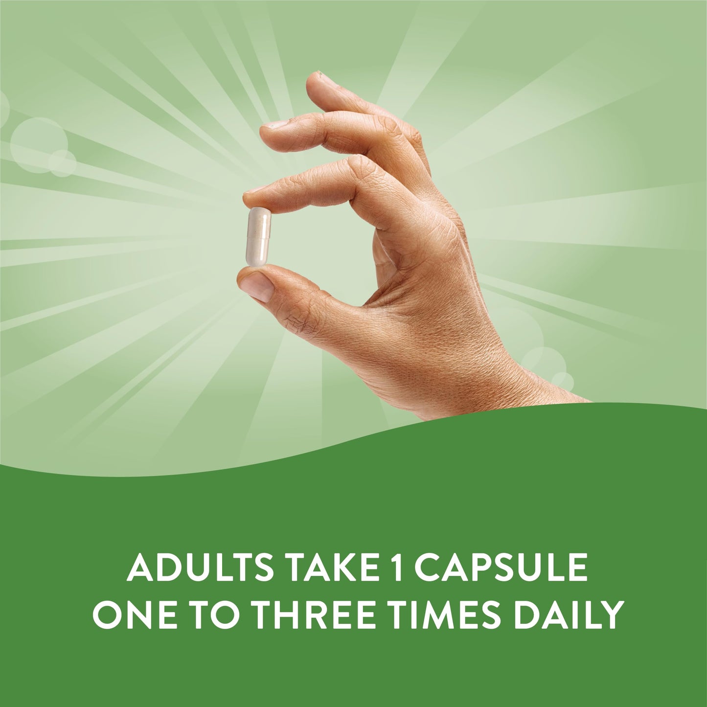 Nature's Way Garlic Bulb Capsules 200