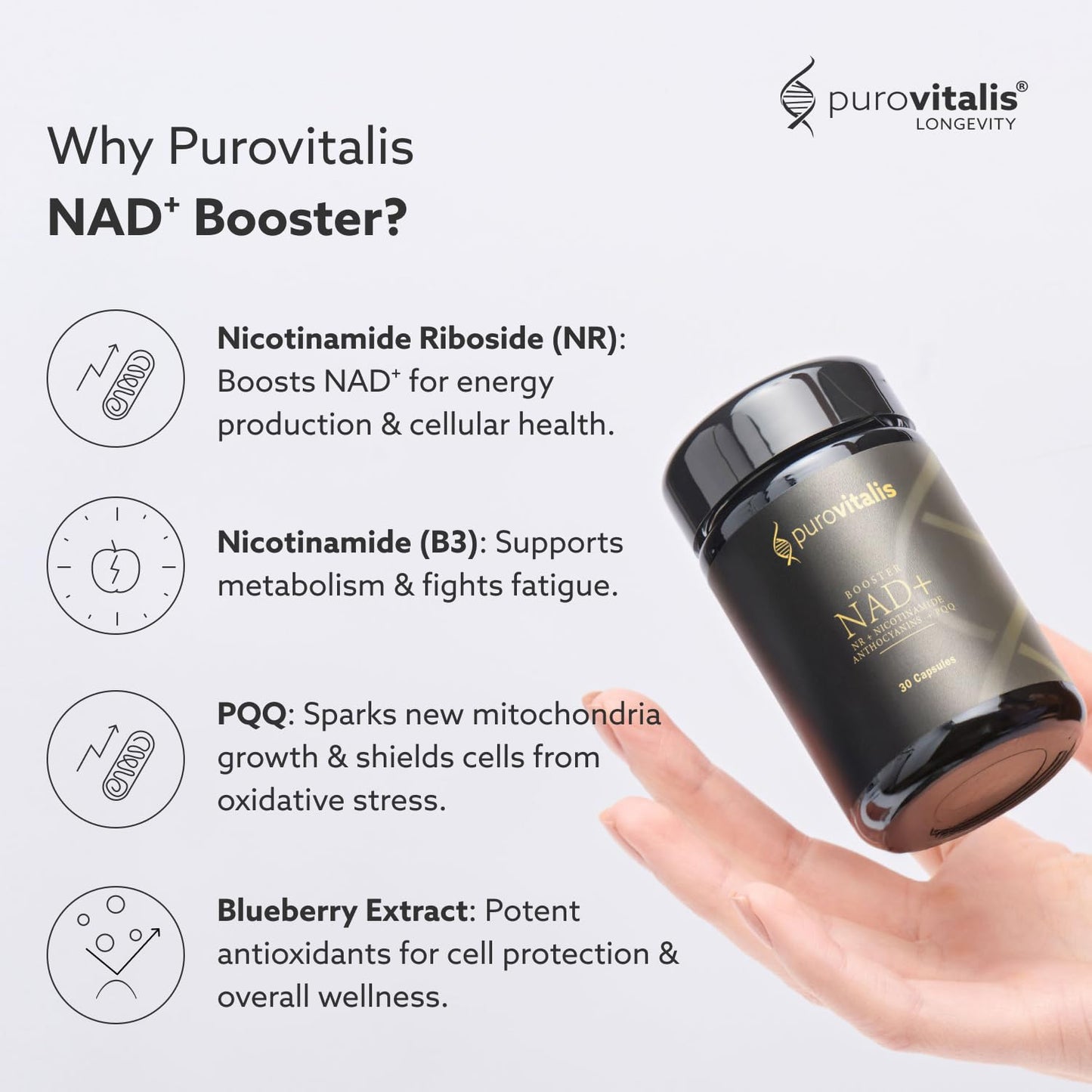PUROVITALIS NAD+ Supplement with Nicotinamide Riboside (NR), Vitamin B3, PQQ & Anthocyanin, Cellular Energy Booster Capsules, 30 Count