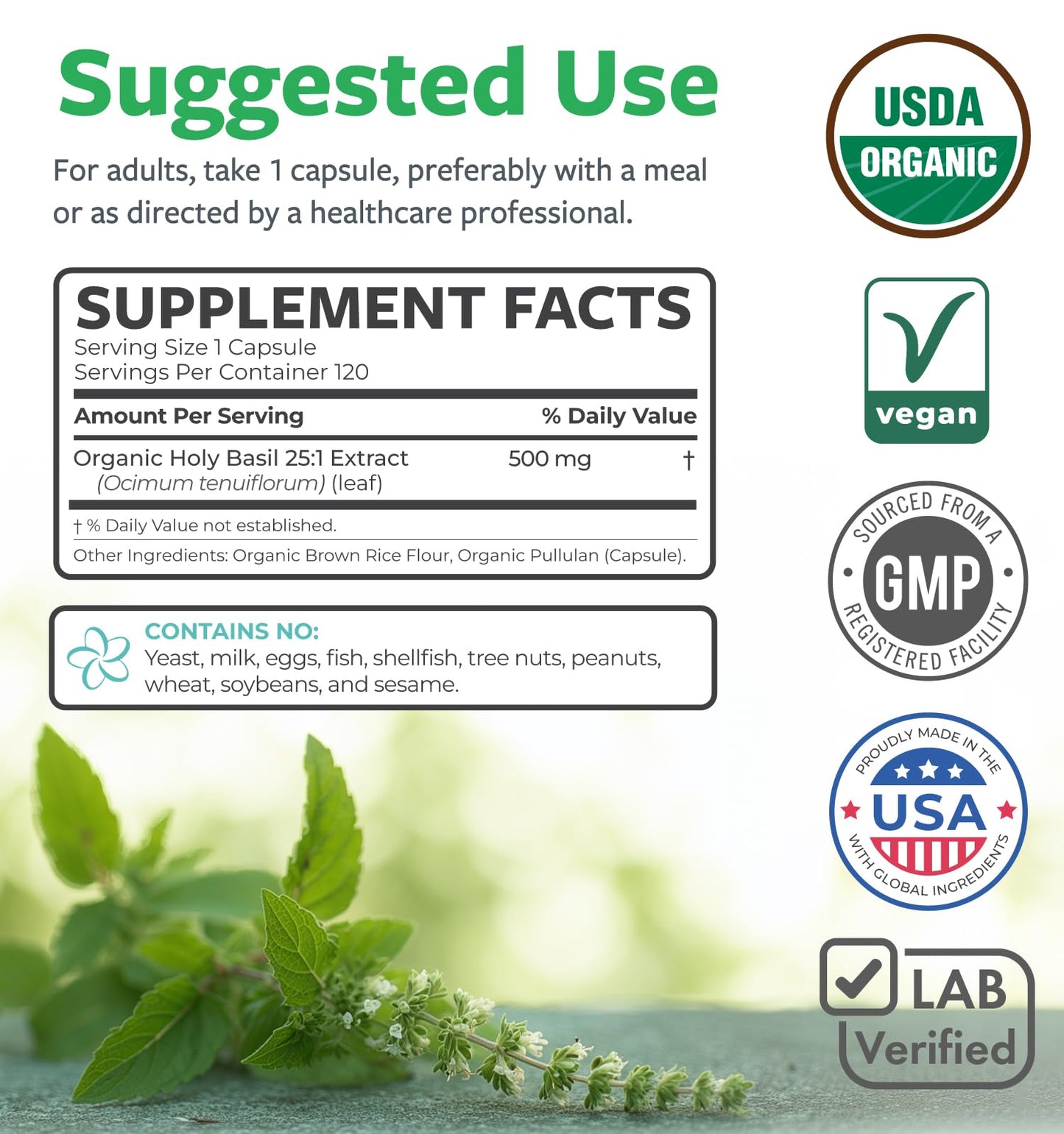 PURE CO Holy Basil Supplement Capsule 120 Count