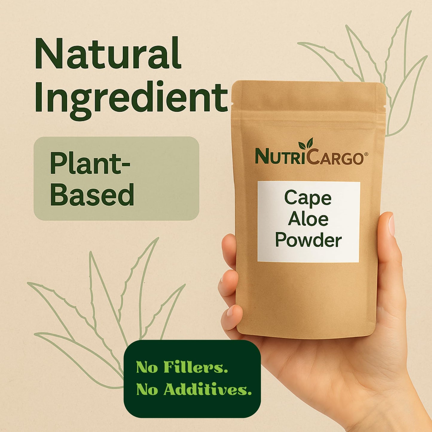NutriCargo Cape Aloe Powder 1 Count