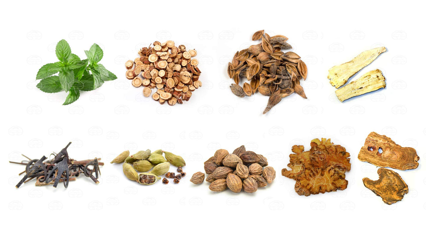 Dragon Herbs Golden Voice 100 Capsules