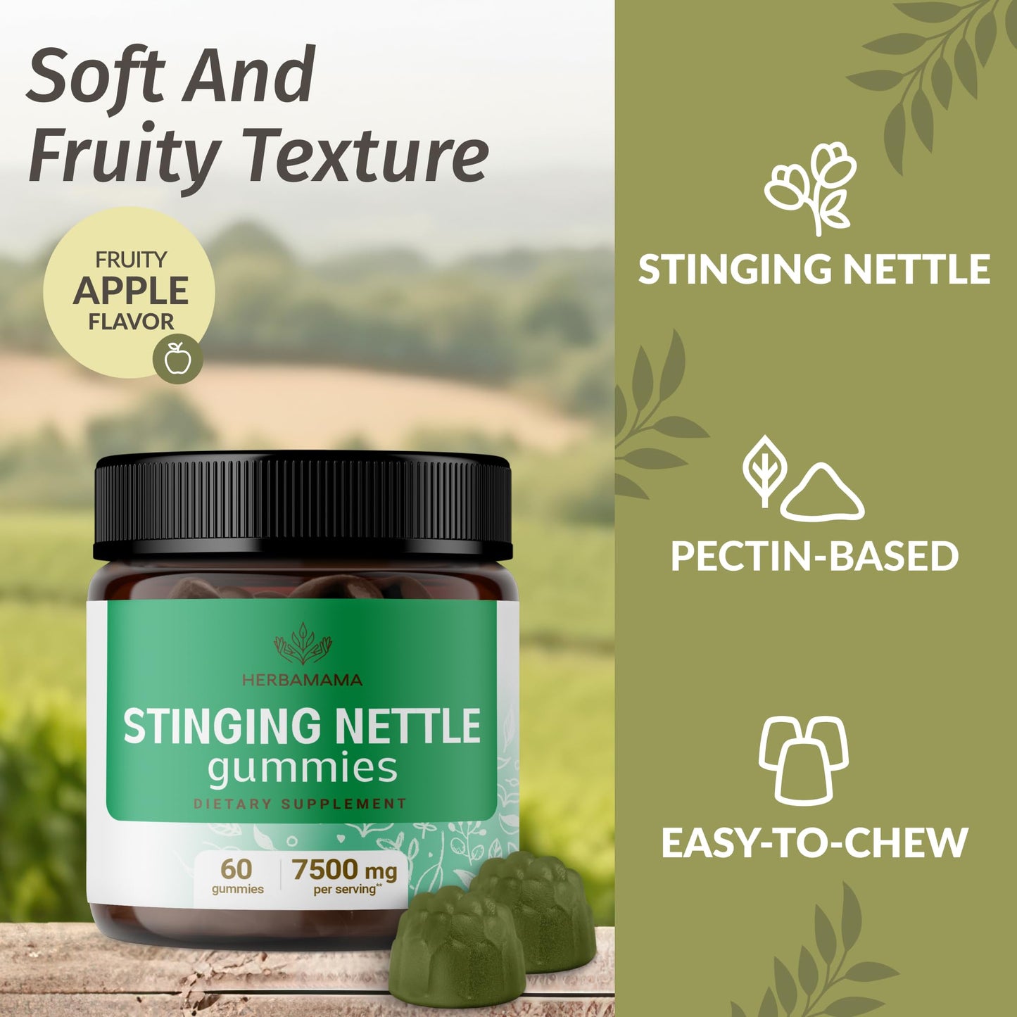 HERBAMAMA Stinging Nettle Gummies, 60 Count