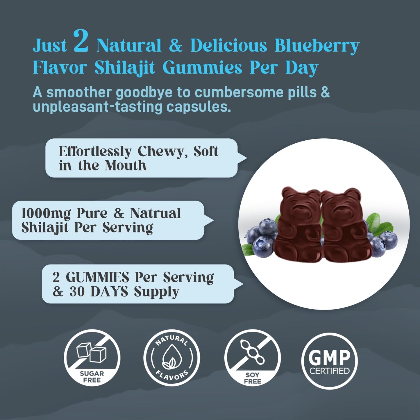 Sijigood Shilajit Gummies with 85+ Trace Minerals, 120 Gummies