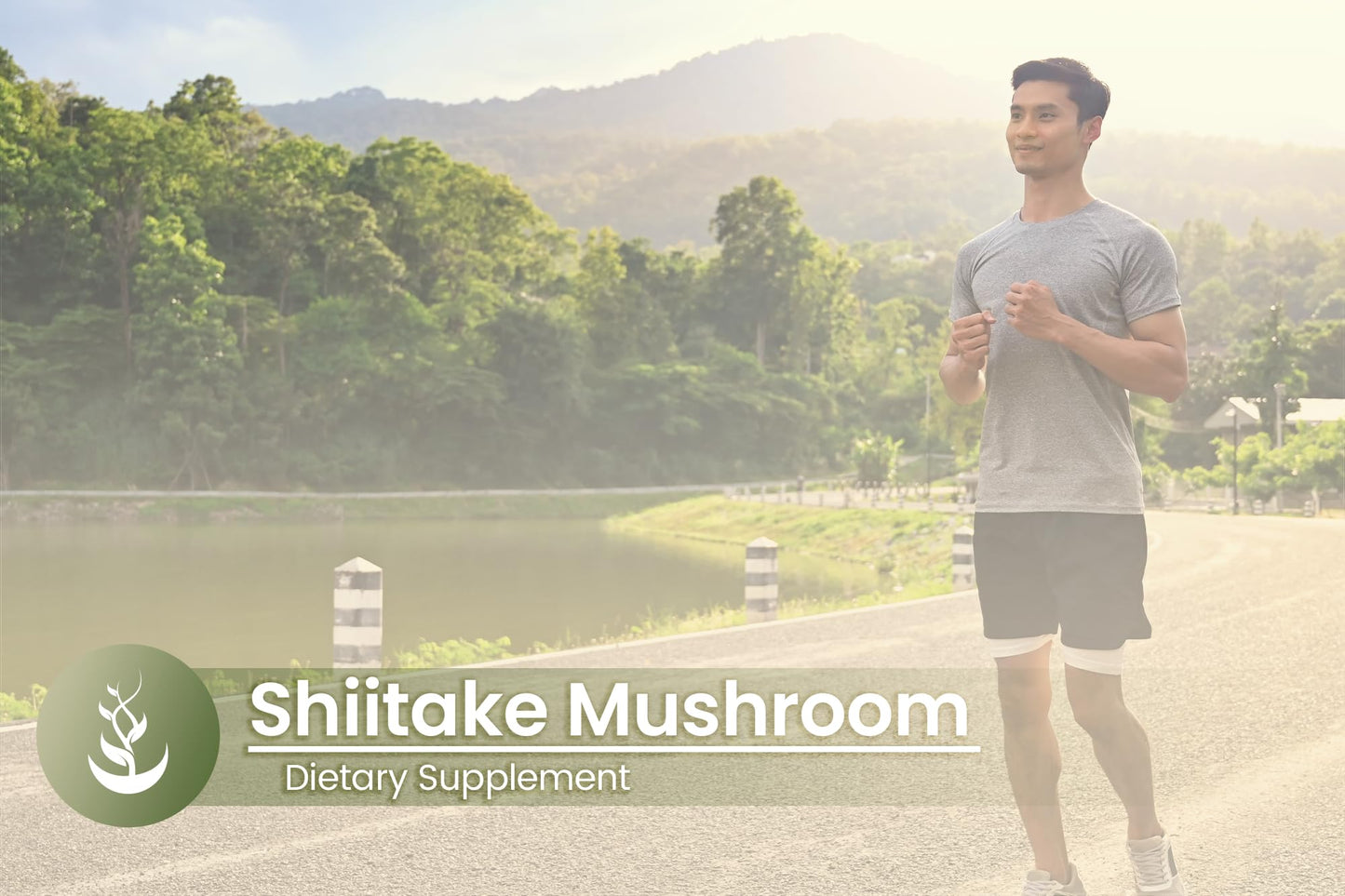 PURE ORIGINAL INGREDIENTS Shiitake Mushroom Extract Capsules 100