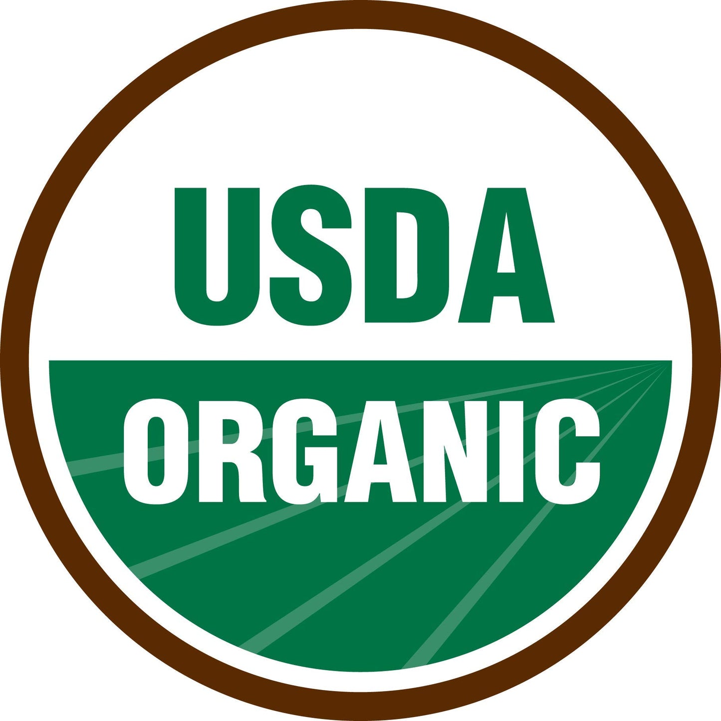 Terrasoul Superfoods Organic Date Sugar Powder 16 Ounces