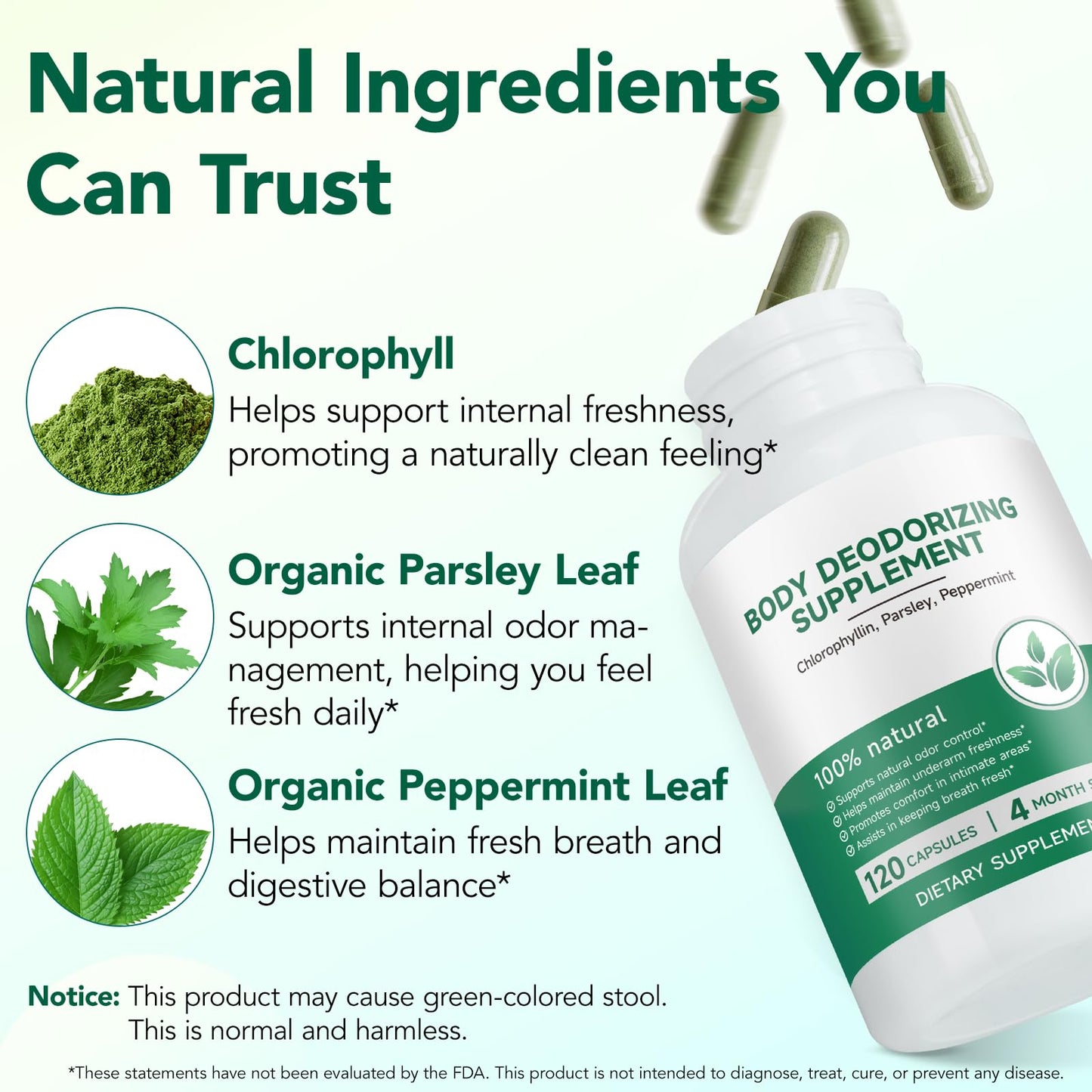 LTQXGT Chlorophyll Gummy 120 Count