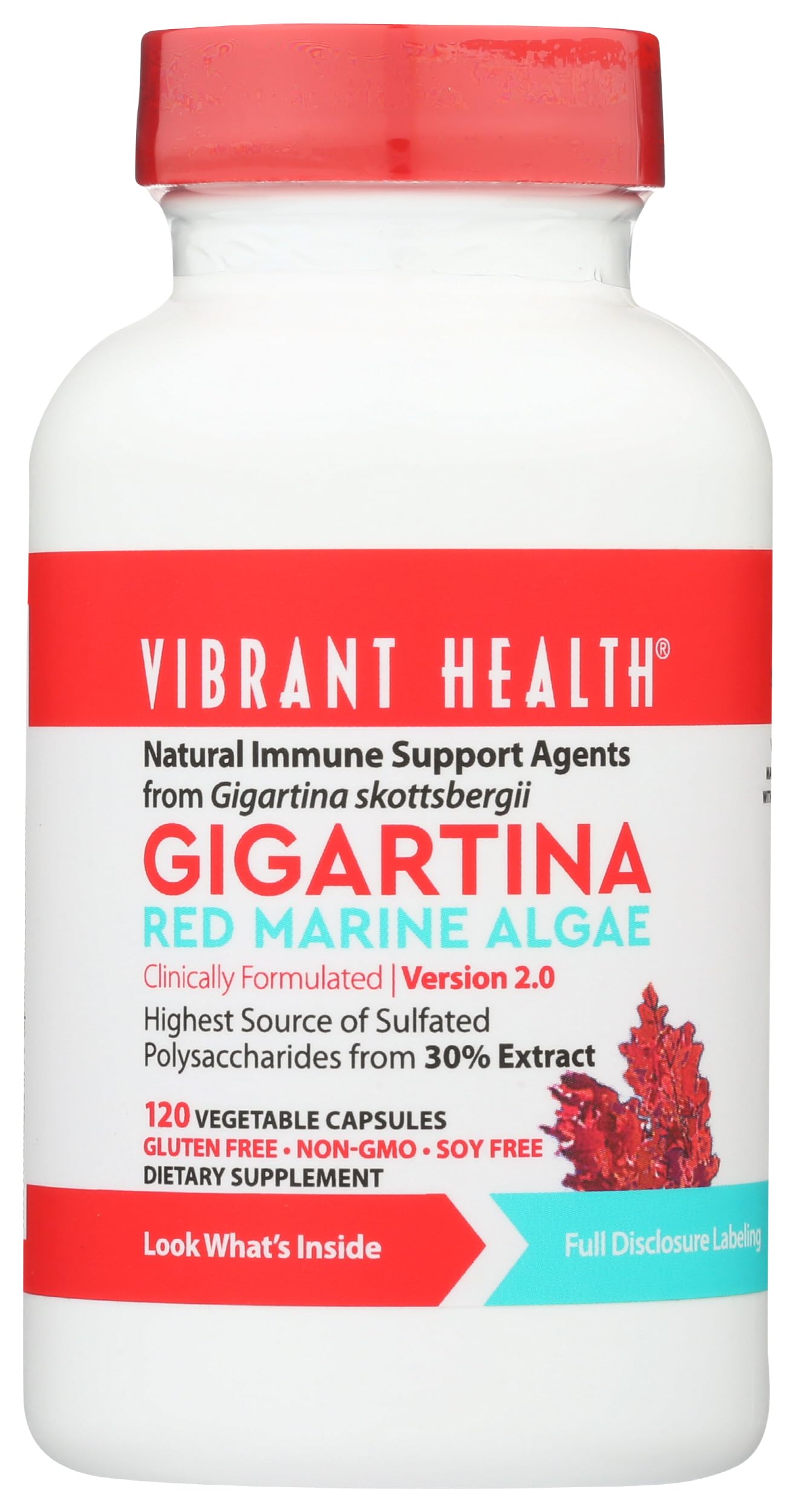 Vibrant Health Gigartina Red Marine Algae Capsules, 60 Count
