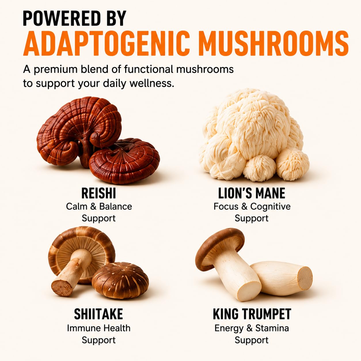 Generic BURTON Mushroom Coffee Organic Adaptogenic Mushroom Blend with Arabica Coffee, Lion’s Mane, Reishi, Shiitake & King Trumpet, 48mg Caffeine, Vegan & Keto Friendly, 30 Servings, Powder, 12.71 oz