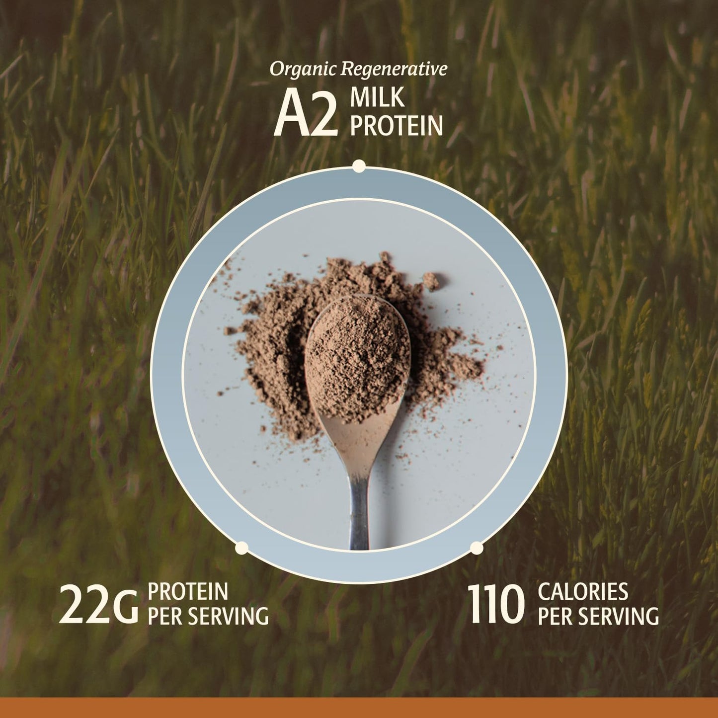 ELEVATE ORGANIC Men's Grass-Fed A2 Regenerative Whey Protein Powder, Chocolate, 1.33 lb