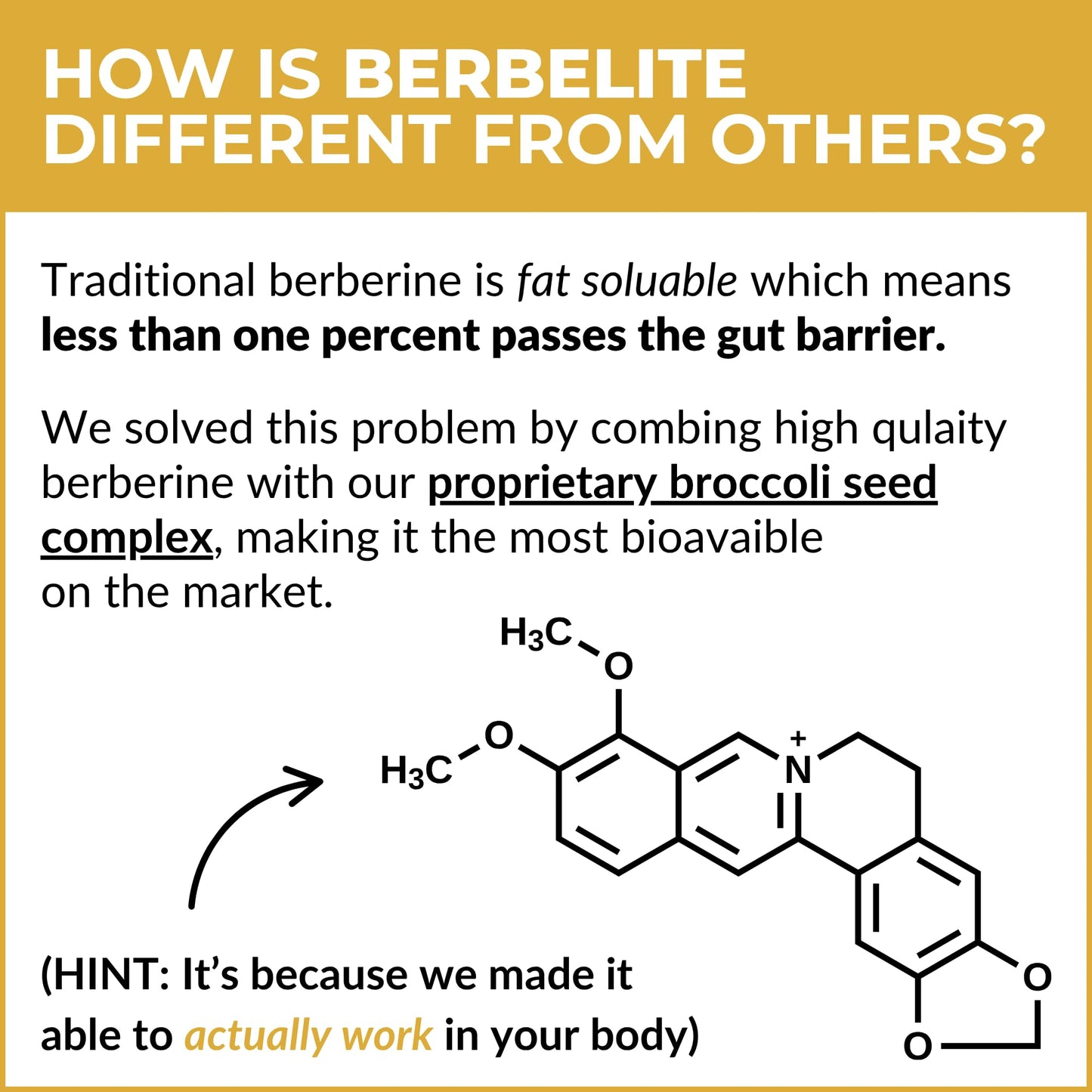 BrocElite BerbElite Berberine HCL & Broccoli Seed Complex 120 Capsules