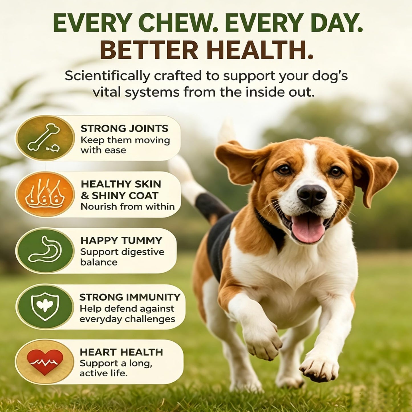 Pupganics Multivitamin Daily Soft Chews, Chicken Flavor, 60 Soft Chews