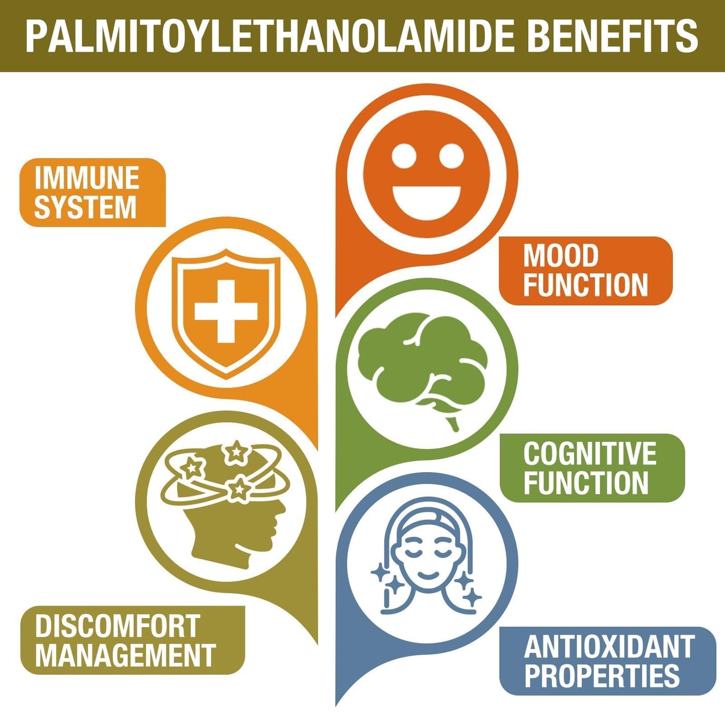 Rosmolo Palmitoylethanolamide with Luteolin 98% & Turmeric 1500 mg, 60 Tablets