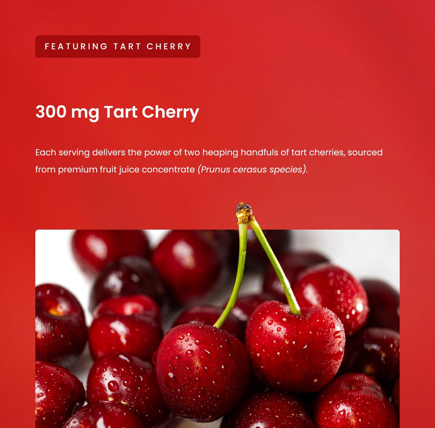 NutraChamps Tart Cherry Gummies with Celery Seed – 60 Count
