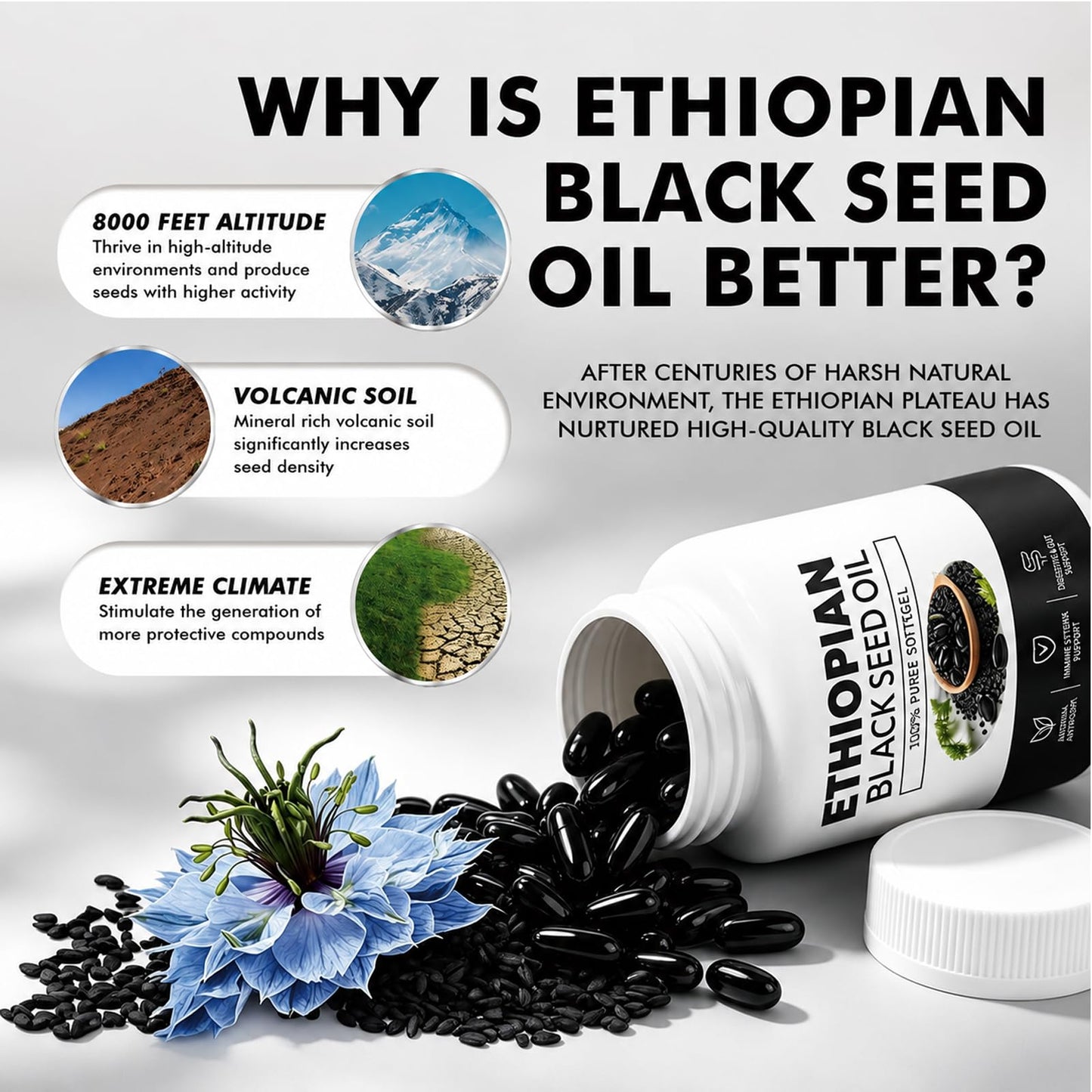 Biovitic Evoraly Ethiopian Black Seed Oil Capsule, 60 Count