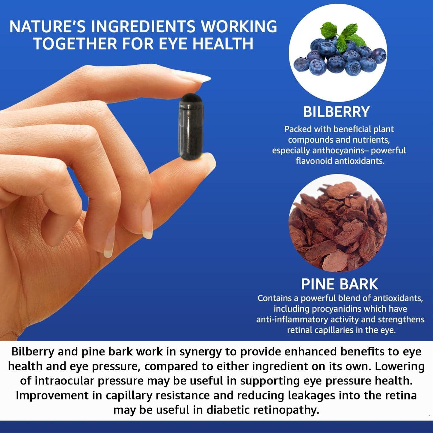 Intelligent Formula Vision Defender BP Eye Supplement Capsules 60