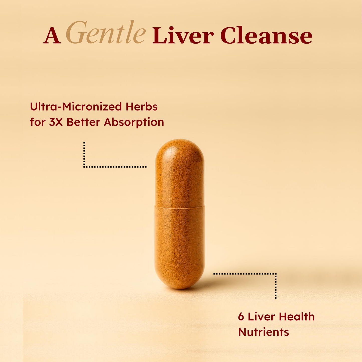 Stomach Bloom Liver Detox & Cleanse Capsule, 60 Count