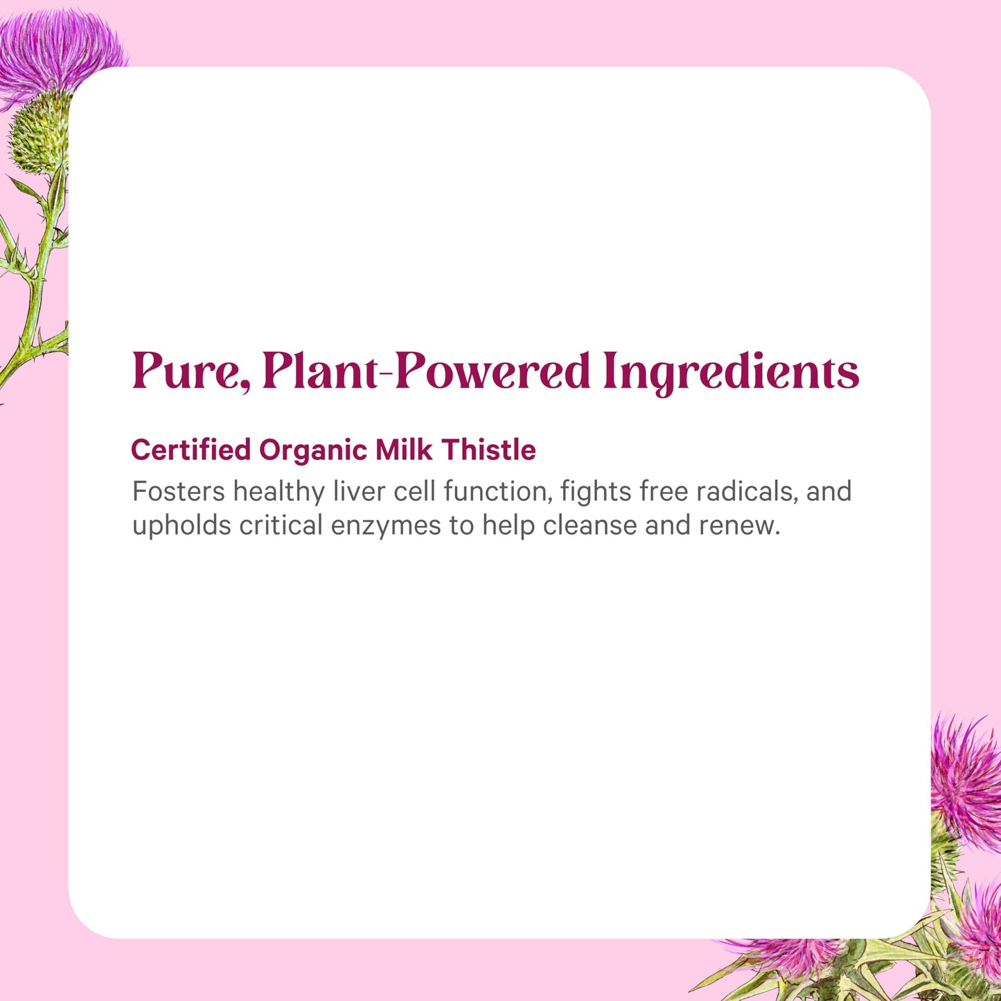 PURE SYNERGY Milk Thistle Extract SuperPure Capsules, 60 Count