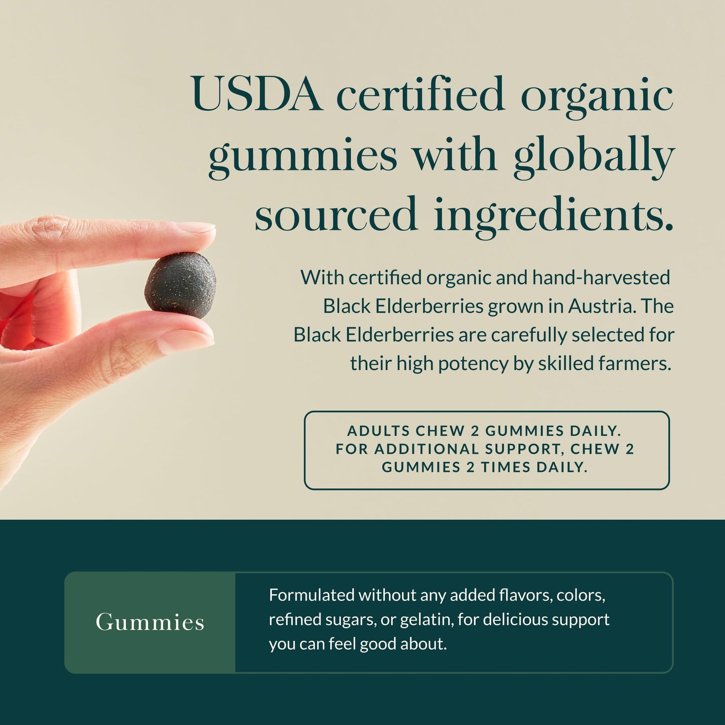 Gaia Herbs Black Elderberry Extra Strength Gummies, 120 Gummies