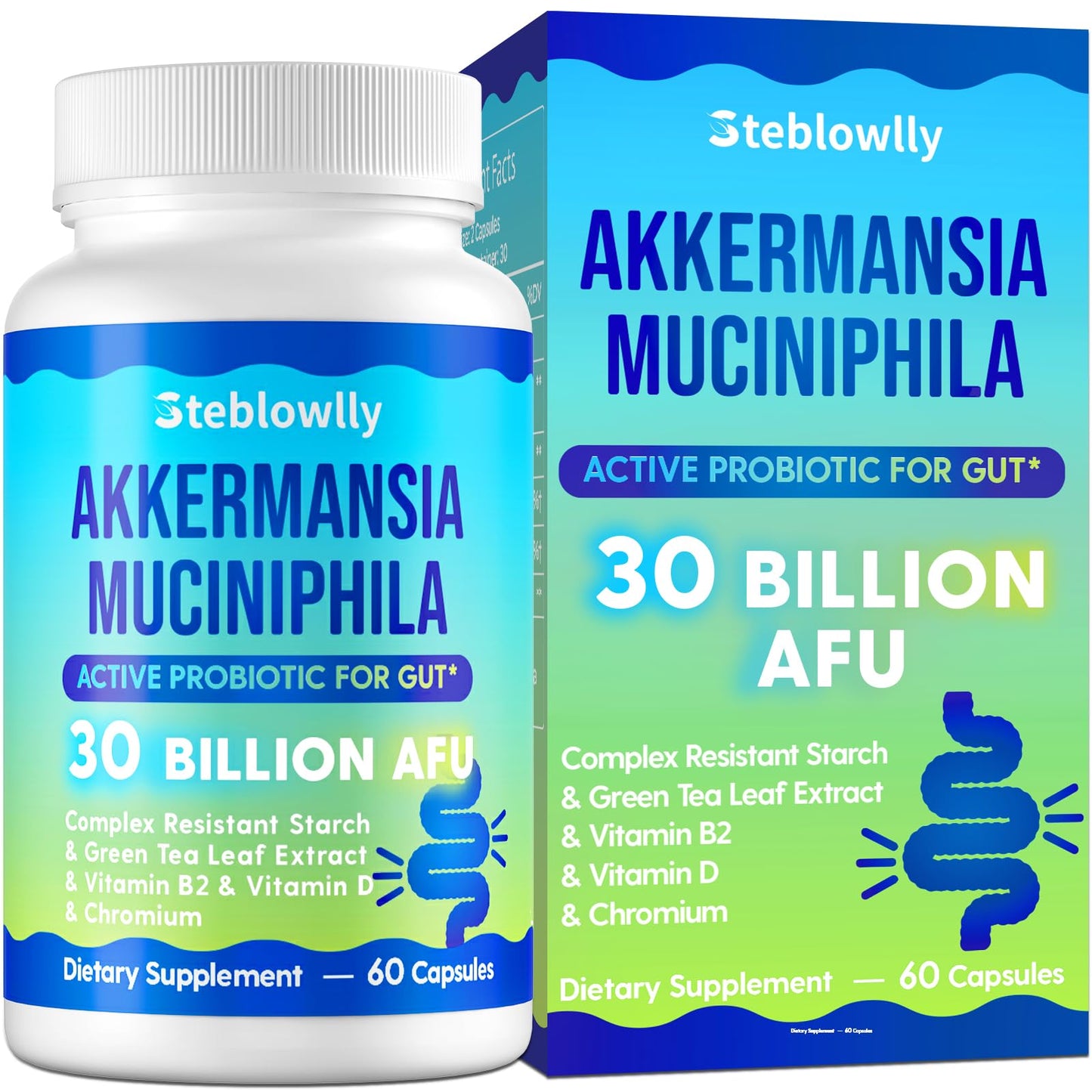 Steblowlly Akkermansia Muciniphila for Gut Health, Metabolic*, 60 Capsules