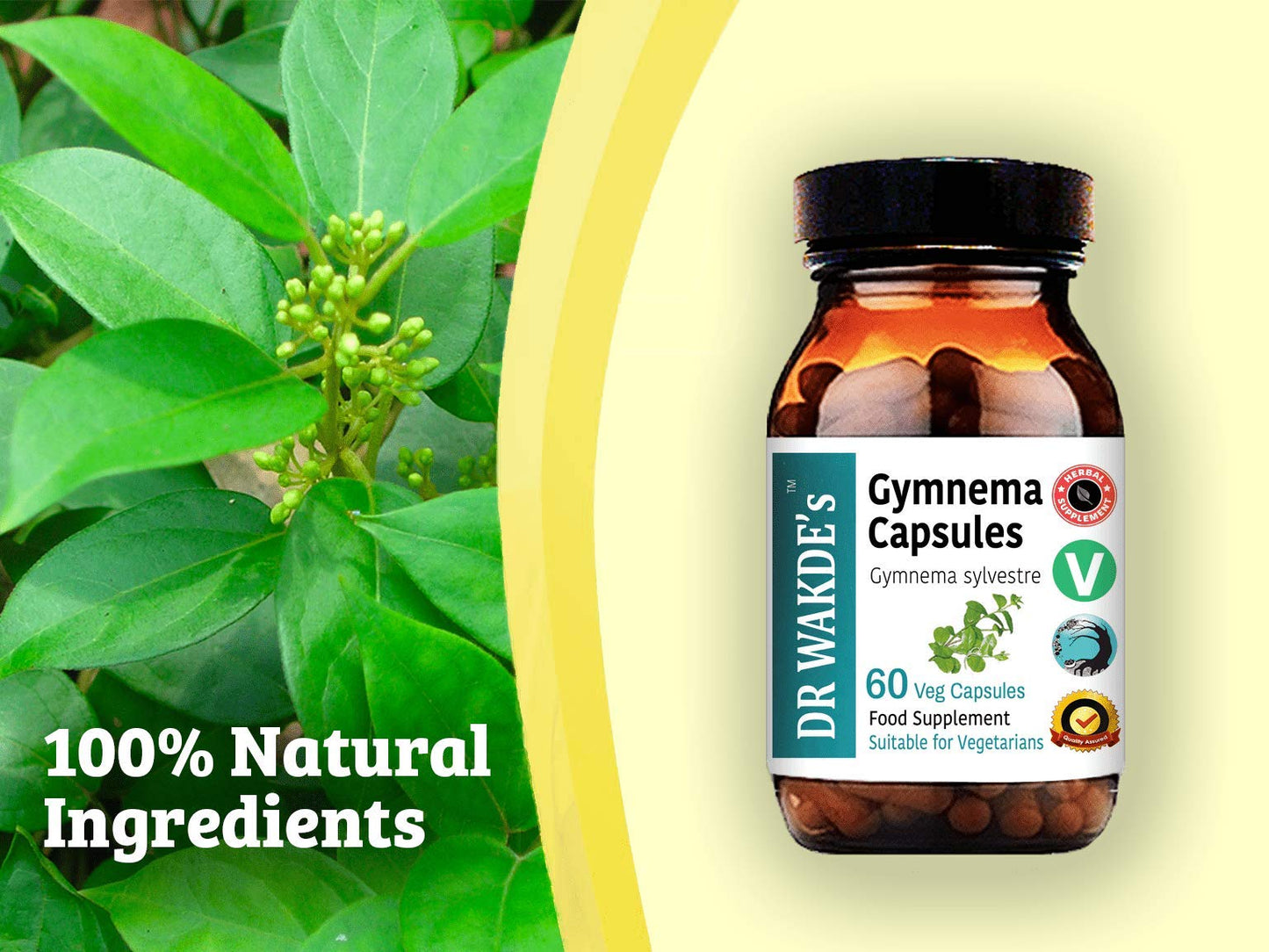 DR WAKDE's Gymnema Capsules 1 Count