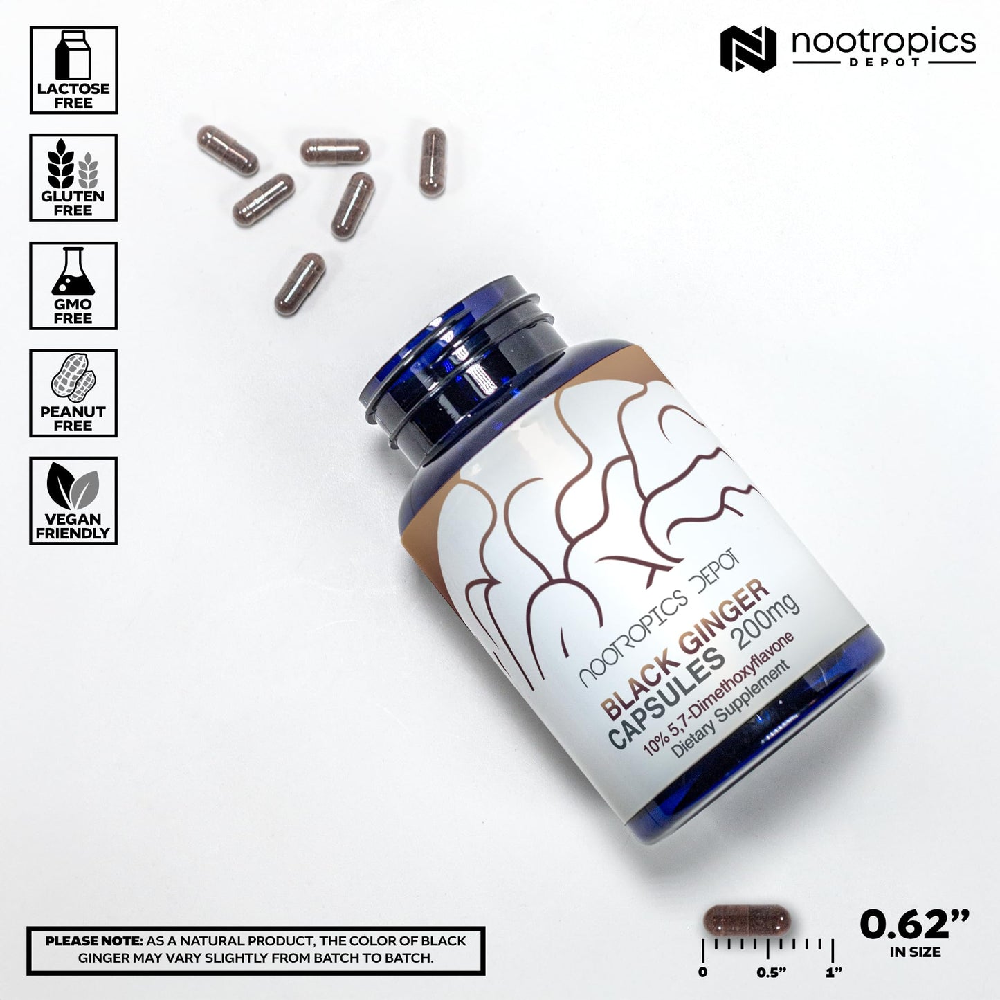Nootropics Depot Black Ginger Extract Capsules (10% 5,7-dimethoxyflavone), 180 Count