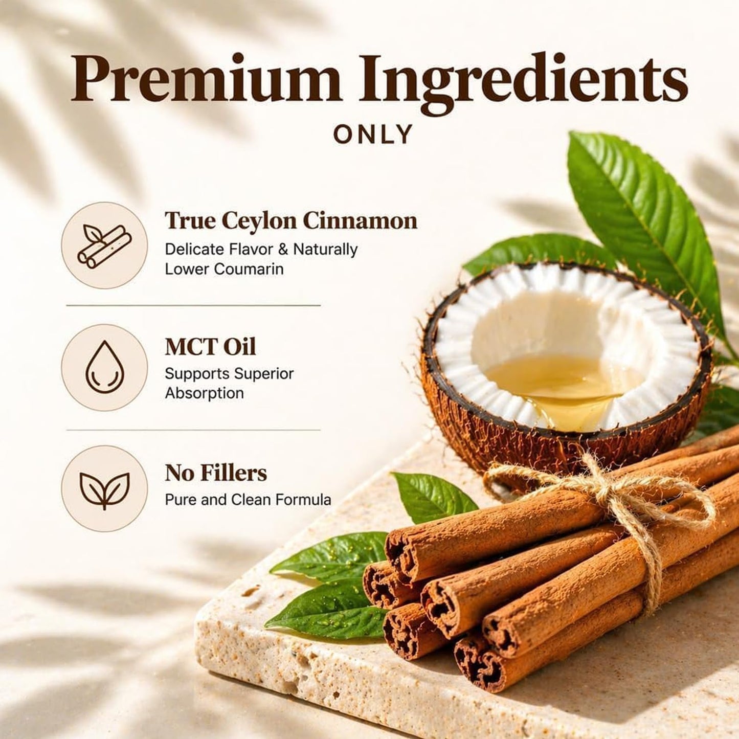 Metabolae Ceylon Cinnamon with MCT Oil Softgels 300 Count