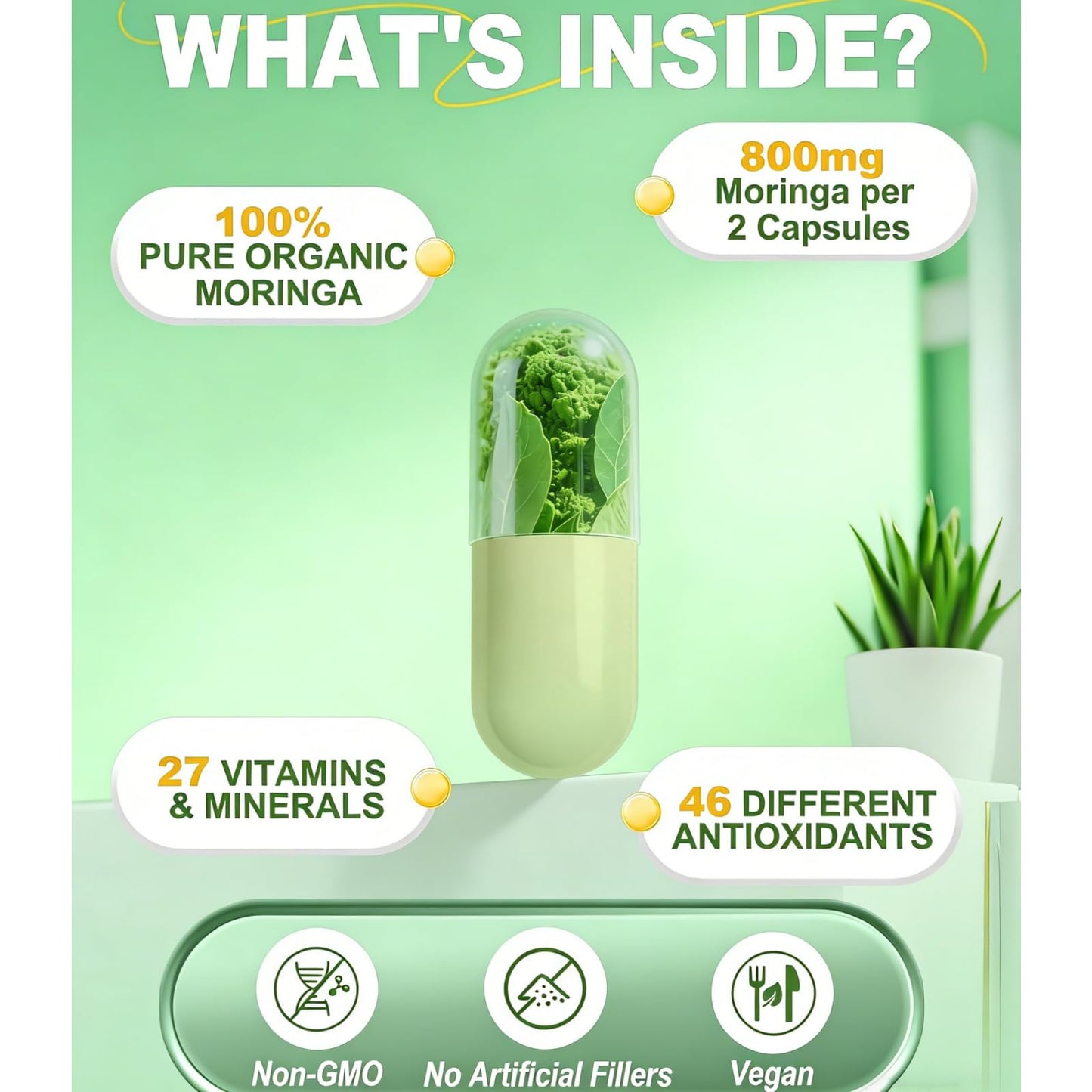 WJSFDLY Moringa Capsules 800mg Pure Moringa Powder, 60 Capsules