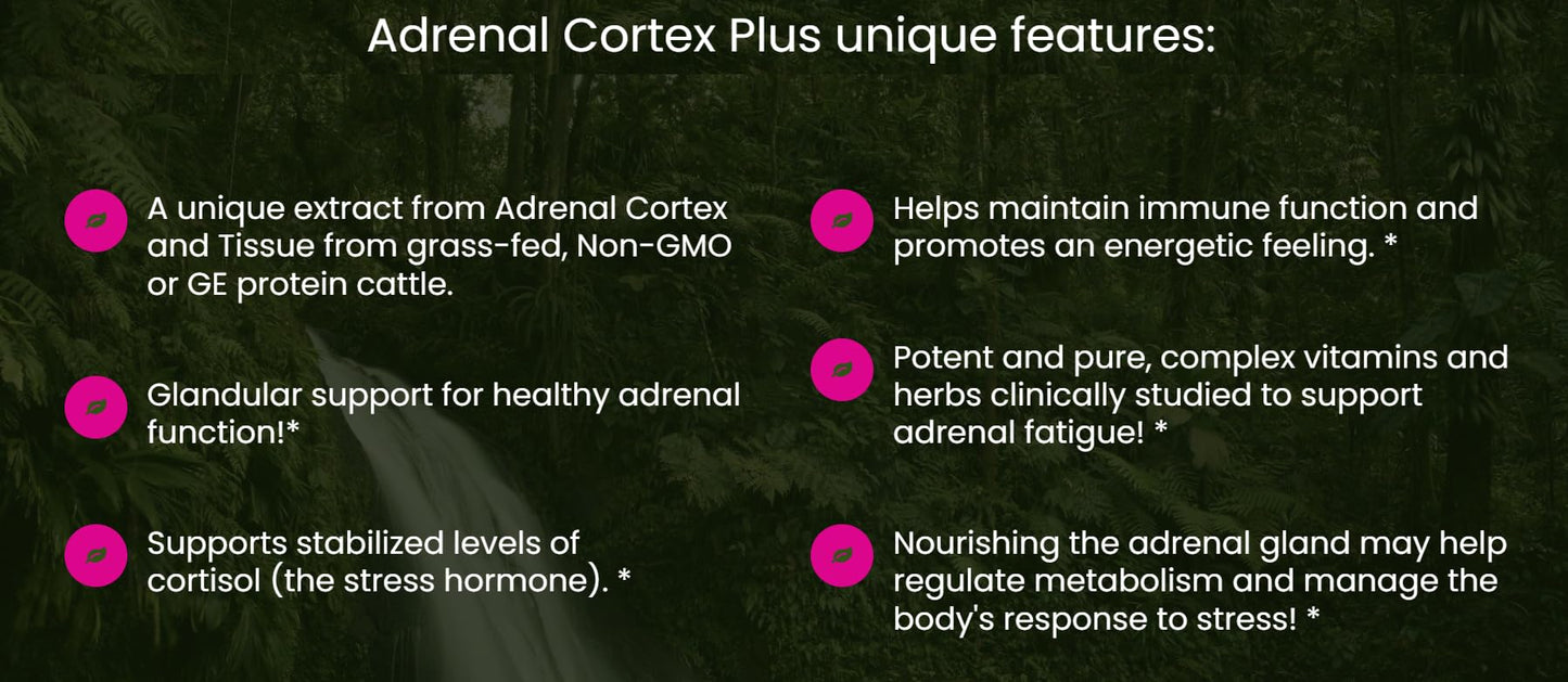 All In Nutritionals Adrenal Cortex+ Capsule 60 Count