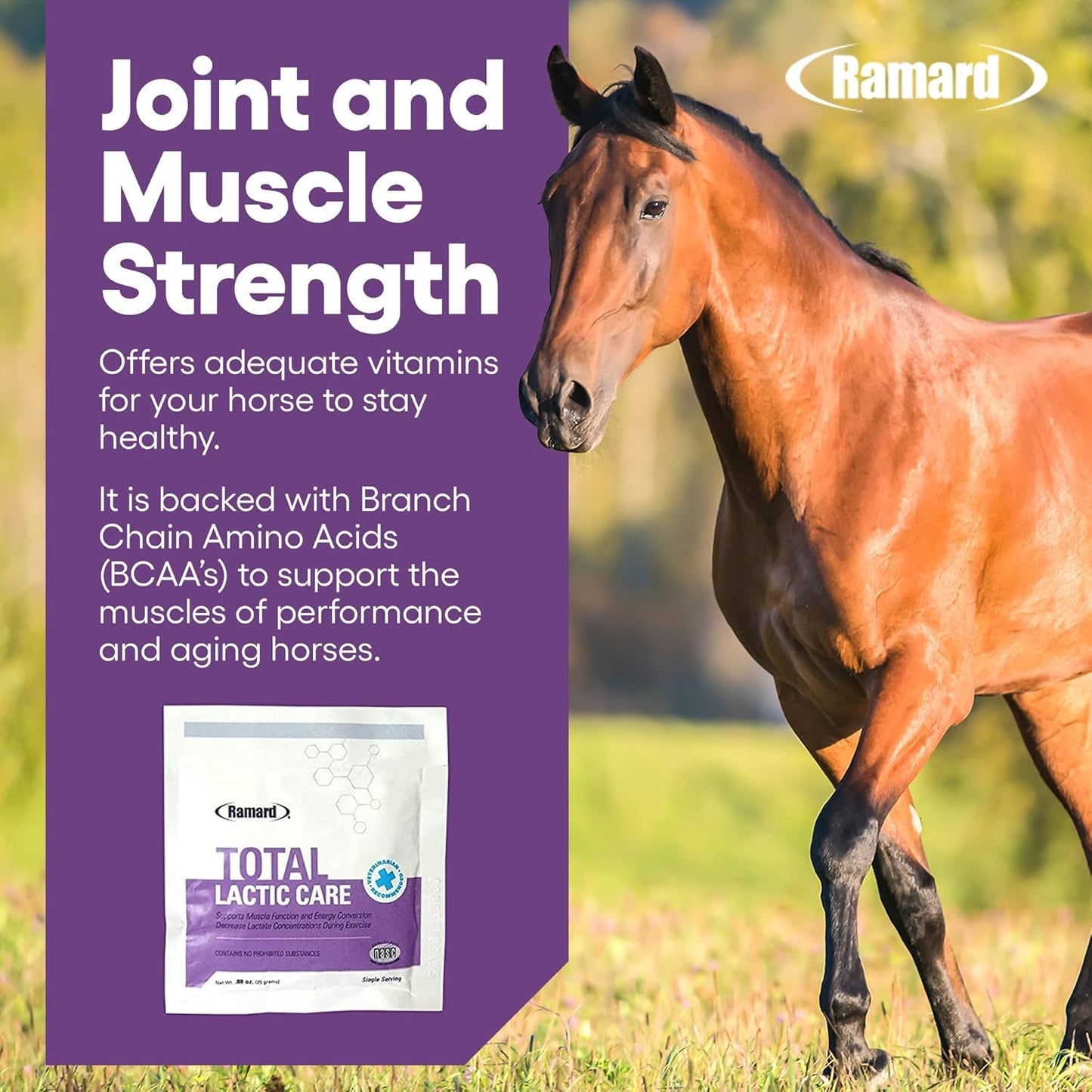 Ramard Total Lactic Care Muscle Function Support Supplement Powder 0.88 Ounce