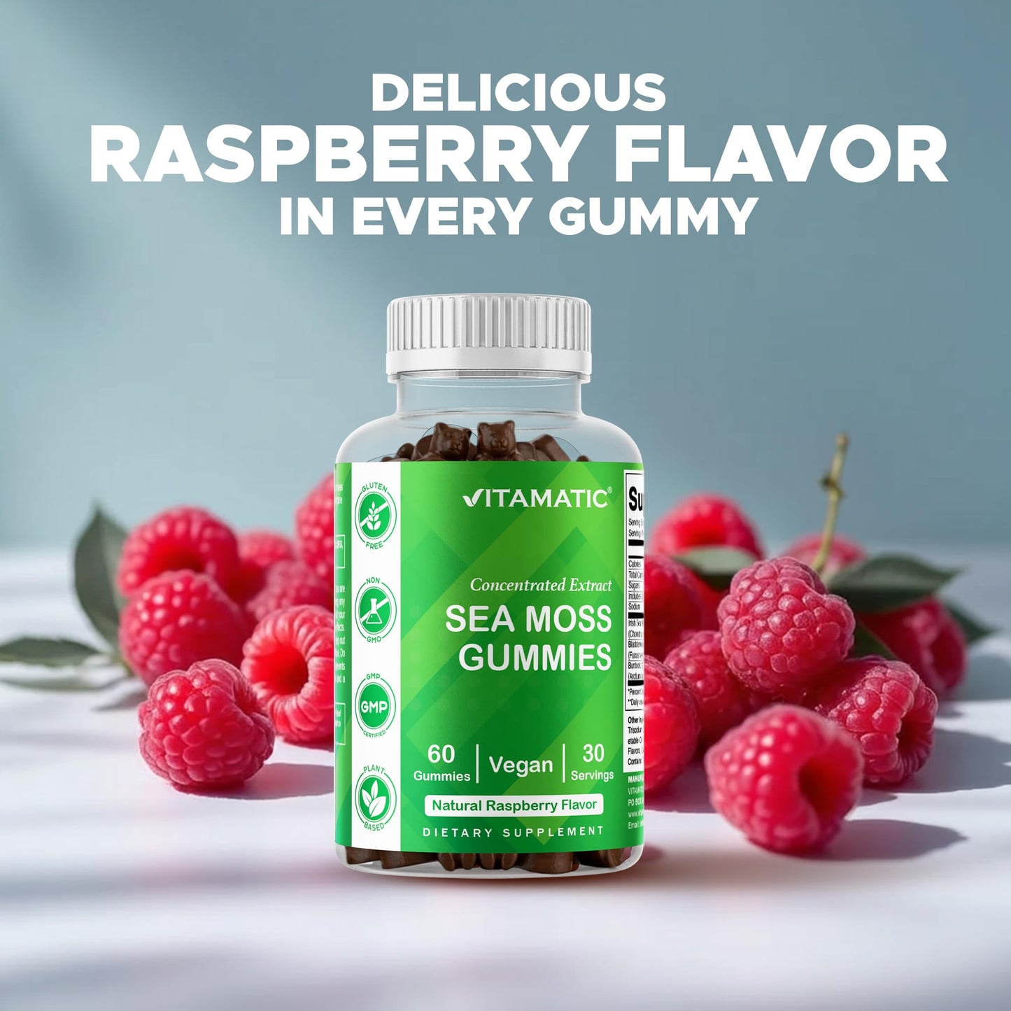 Vitamatic Sea Moss Gummies with Bladderwrack & Burdock, Gummy, 60 Count (Pack of 2)