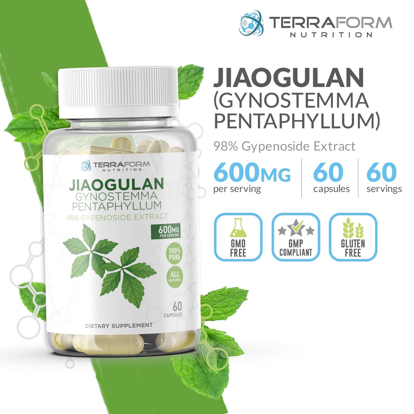 TerraForm Nutrition Gynostemma Pentaphyllum Supplement Capsules 60 Count
