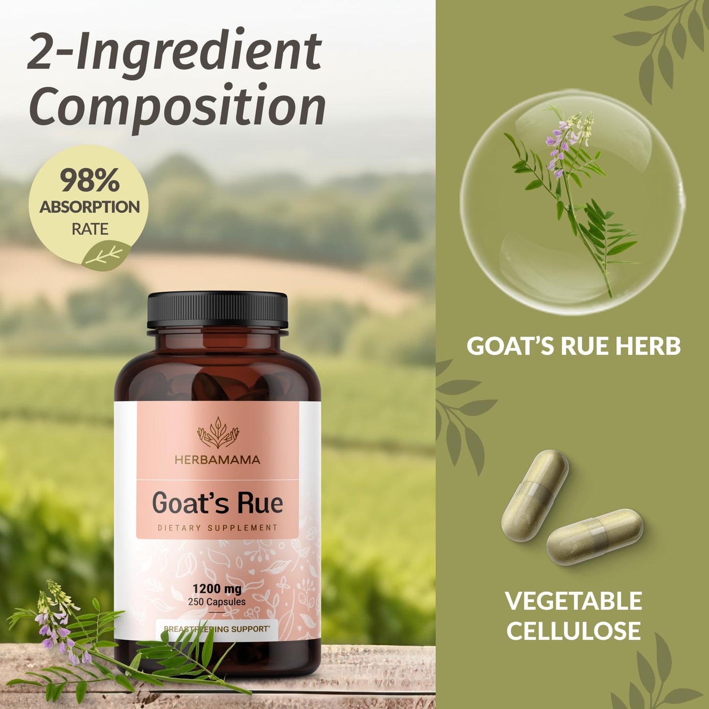 HERBAMAMA Goat's Rue Capsules 250 Count