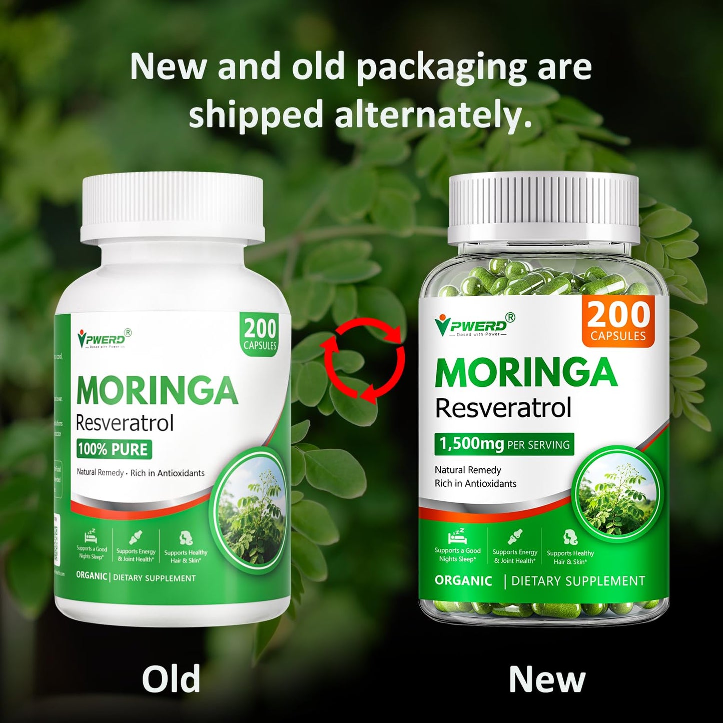 PWERD Moringa Pure Powder Oleifera Leaf Gummies, 200 Count