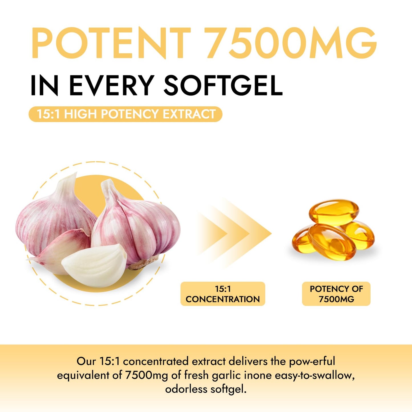Primus.Labs Aged Garlic 24 Month Aged Softgels 300
