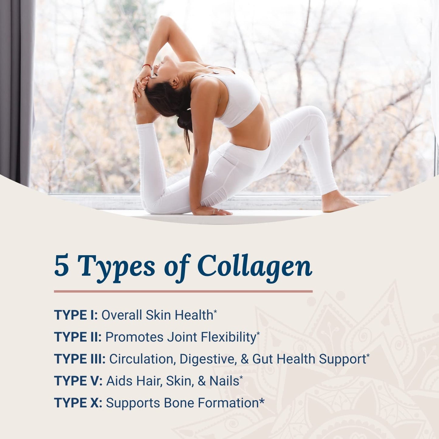 Live Conscious Beyond Collagen Multi Collagen Powder w/ Types I, II, III, V & X, 30-Count