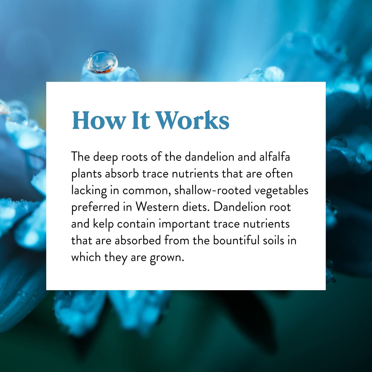 Nature's Sunshine Herbal Trace Minerals Capsules 100