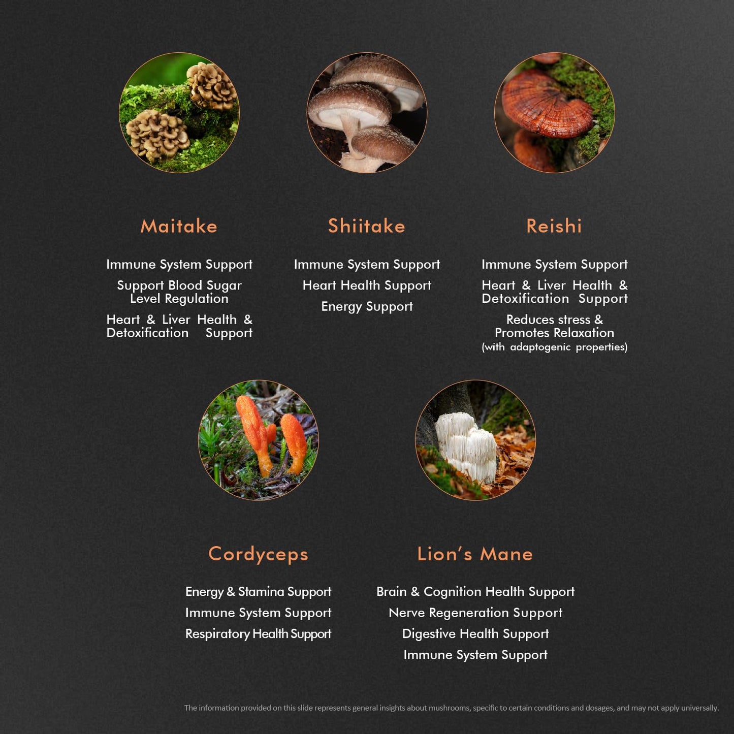 EXUVITAL 5 Mushroom Complex Lion’s Mane, Reishi, Cordyceps, Maitake & Shiitake – Immune Support, Energy & Stress Balance – Vegan, Non-GMO, Gluten Free – 60 Capsules