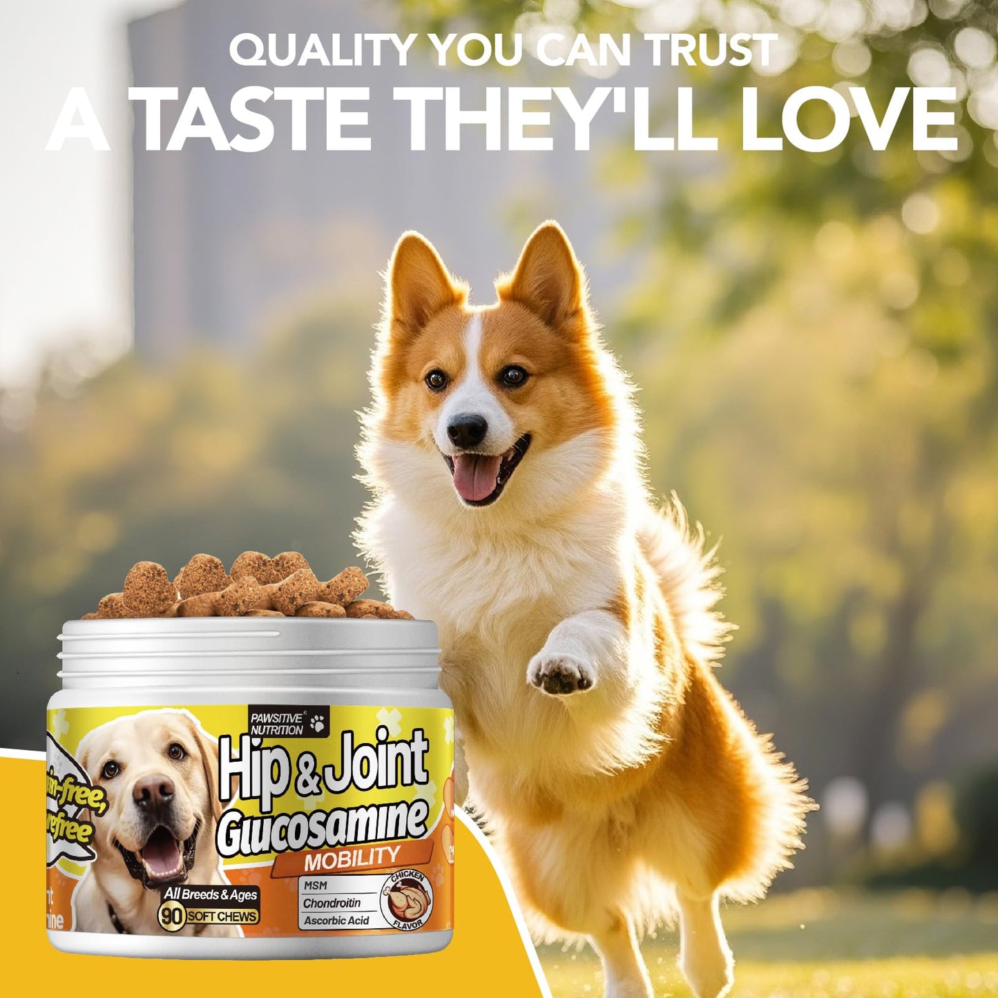 MEGNETA Hip and Joint Supplement for Dogs Chewable, 90 Chews