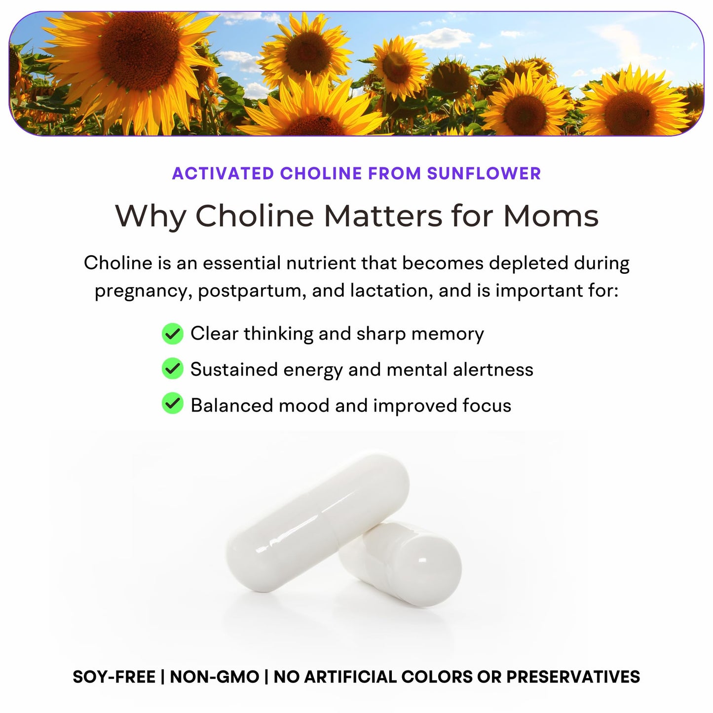 VitaminIQ Mommy Brain Postnatal Supplement Tablet 60 Count