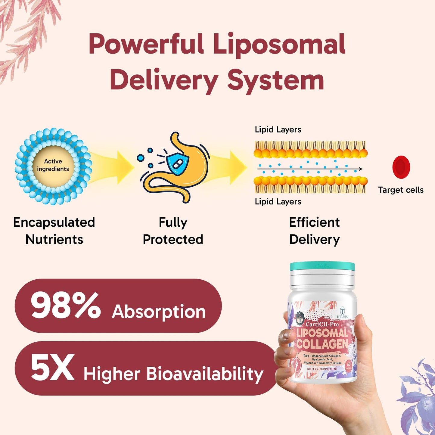 Tervaies Liposomal Collagen Joint Support Softgels, 60 Count