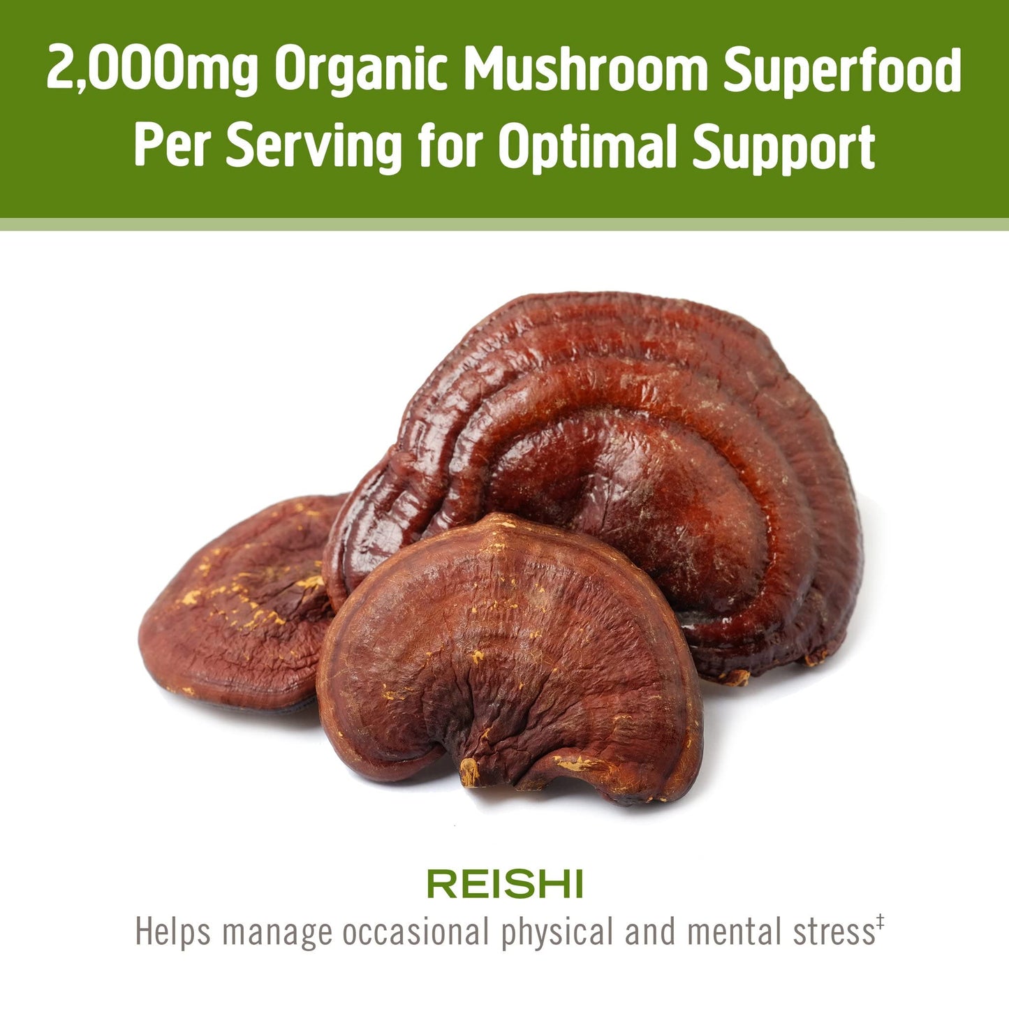 OM MUSHROOM SUPERFOOD Reishi Organic Mushroom Powder 7.05 oz