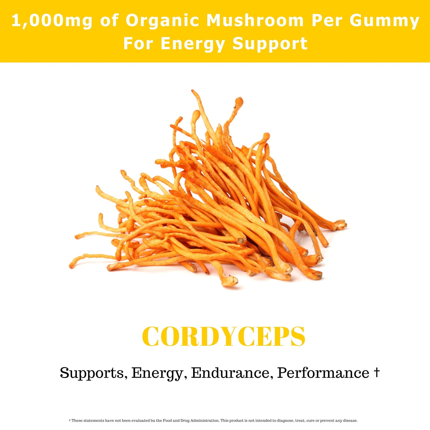 Fundamental Fungi Cordyceps Mushroom Gummies Watermelon Flavor, 90 Count