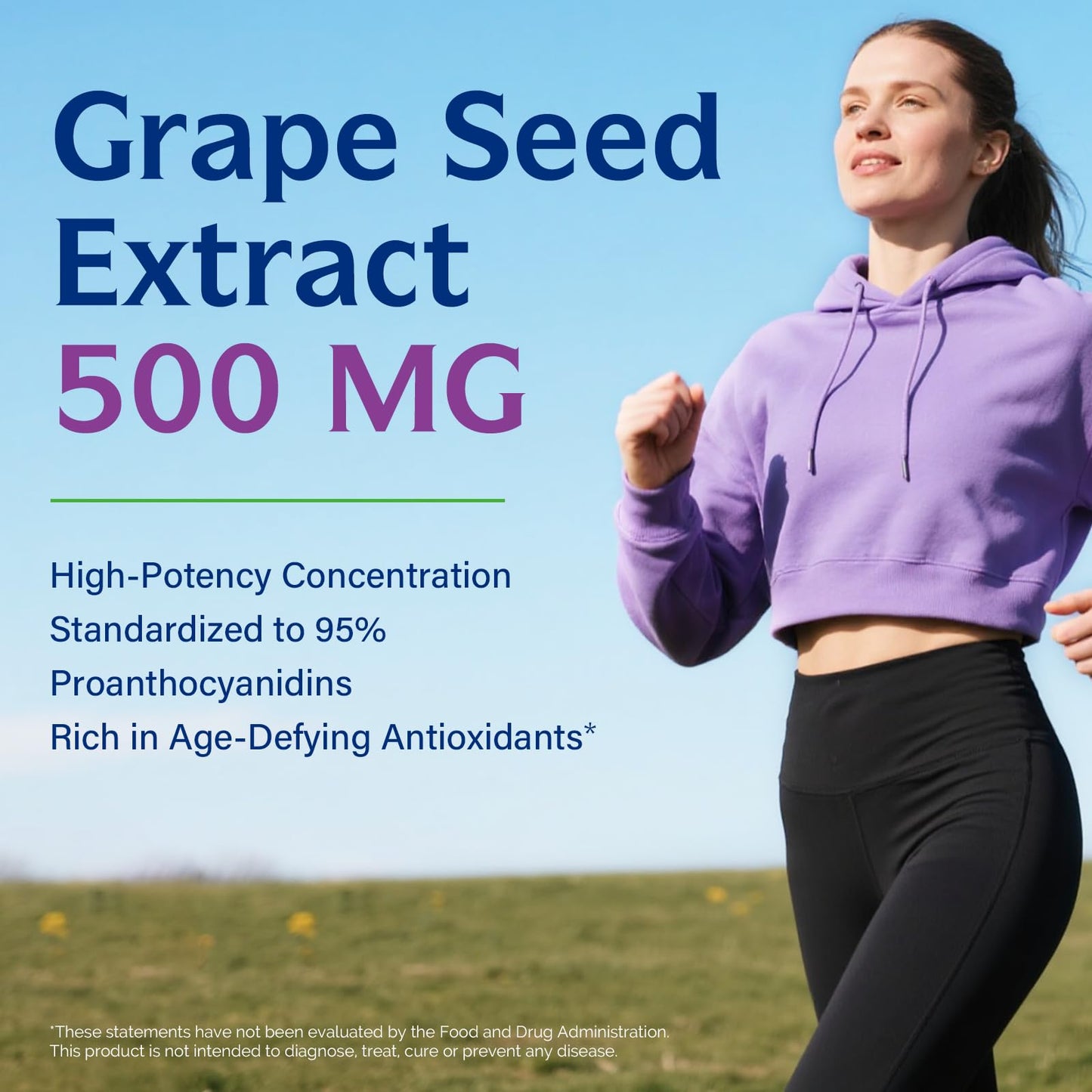 Innate Vitality Grape Seed Extract 500mg Capsules, 180 Count